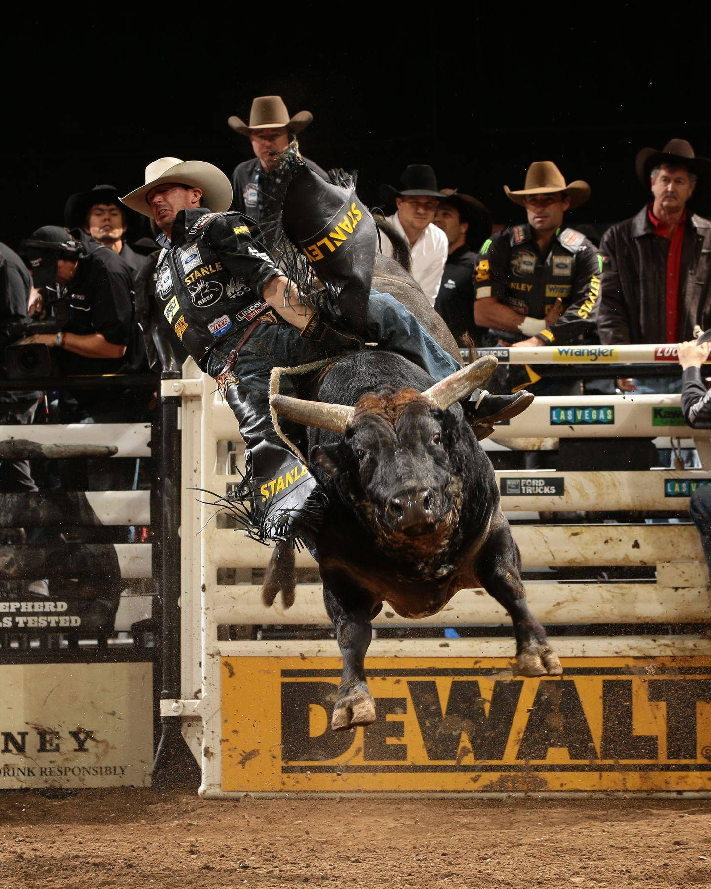 Bull Riding 桌布 壁紙 — 一名騎牛士緊抓著一頭跳躍的黑牛，牠正跳過圍欄，在燈光明亮的牛仔競技場中。