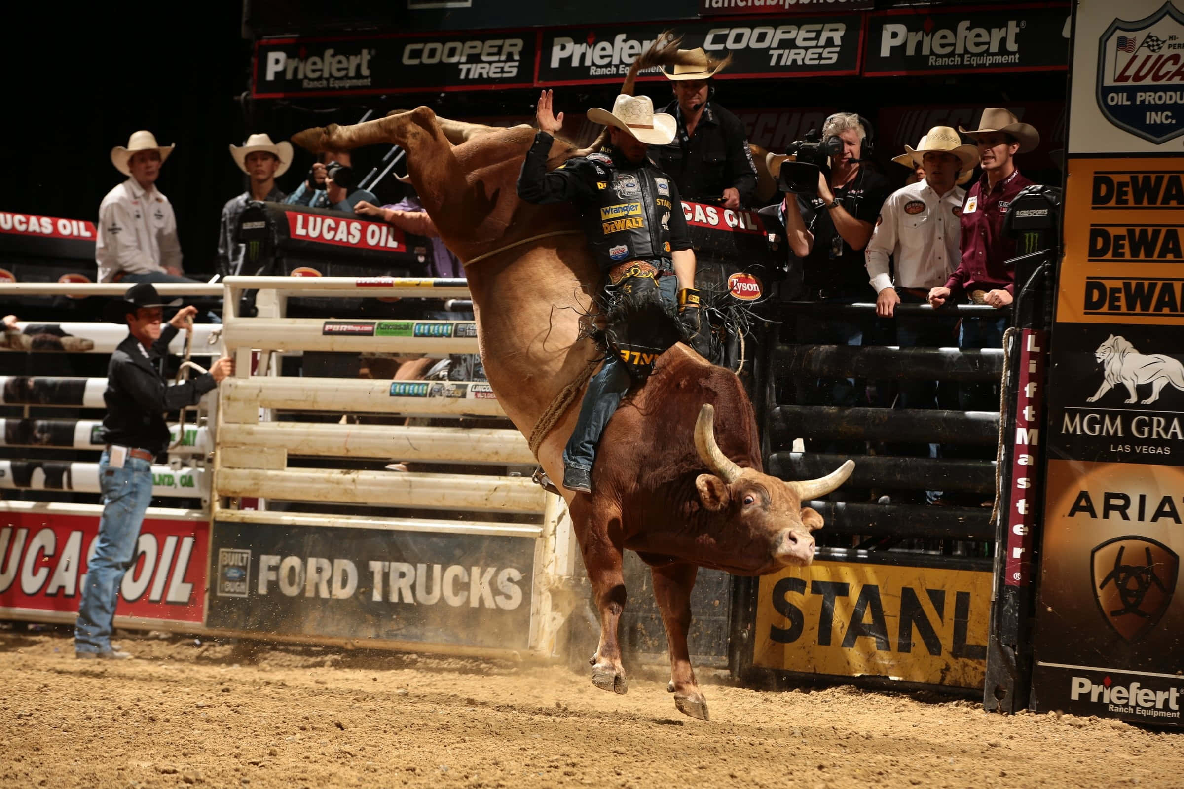 Bull Rider 桌布 壁紙 — 一名騎牛士緊緊抓住，一頭強壯的發狂公牛在燈火通明的牛仔競技場中騰空躍起。
