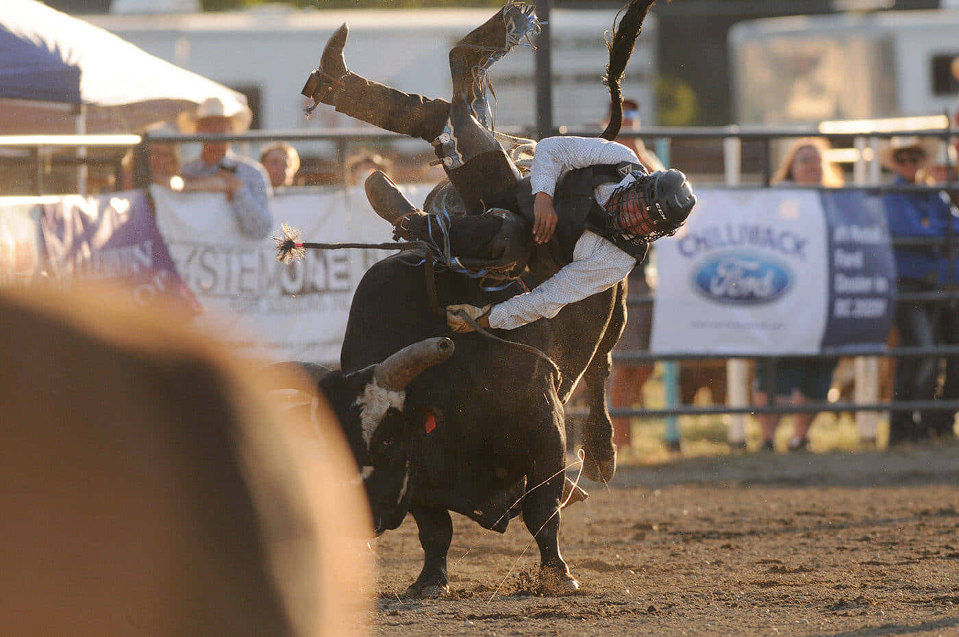 Bull Riding 桌布 壁紙 — 一名騎牛士被拋到空中，而一頭強壯的黑牛在塵土飛揚的牛仔競技場中猛烈地亂跳。
