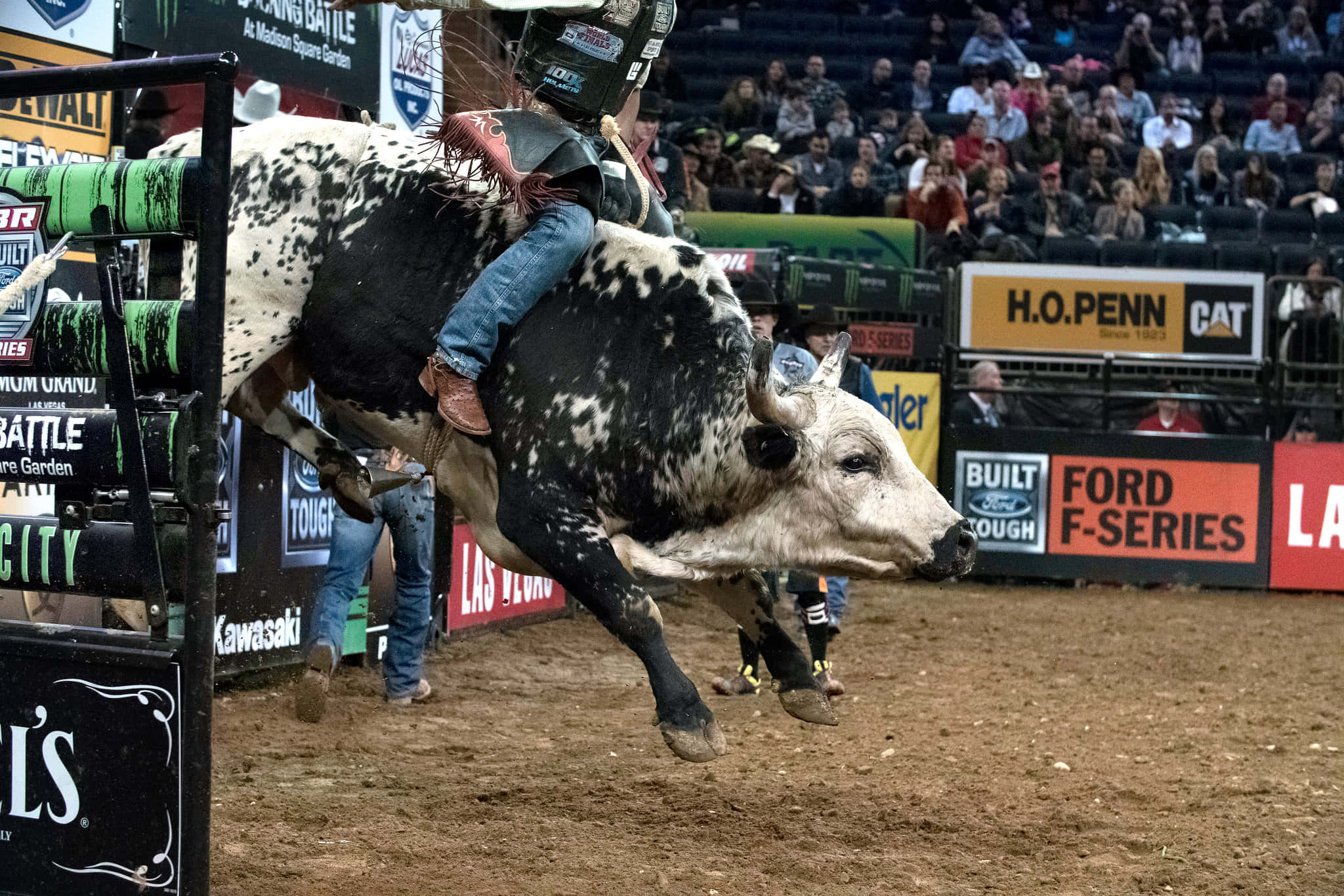 Bull Riding 桌布 壁紙 — 一名騎牛選手在擠滿觀眾的牛仔競技場內，在明亮的燈光下緊緊抓住一頭黑白相間的暴跳公牛。