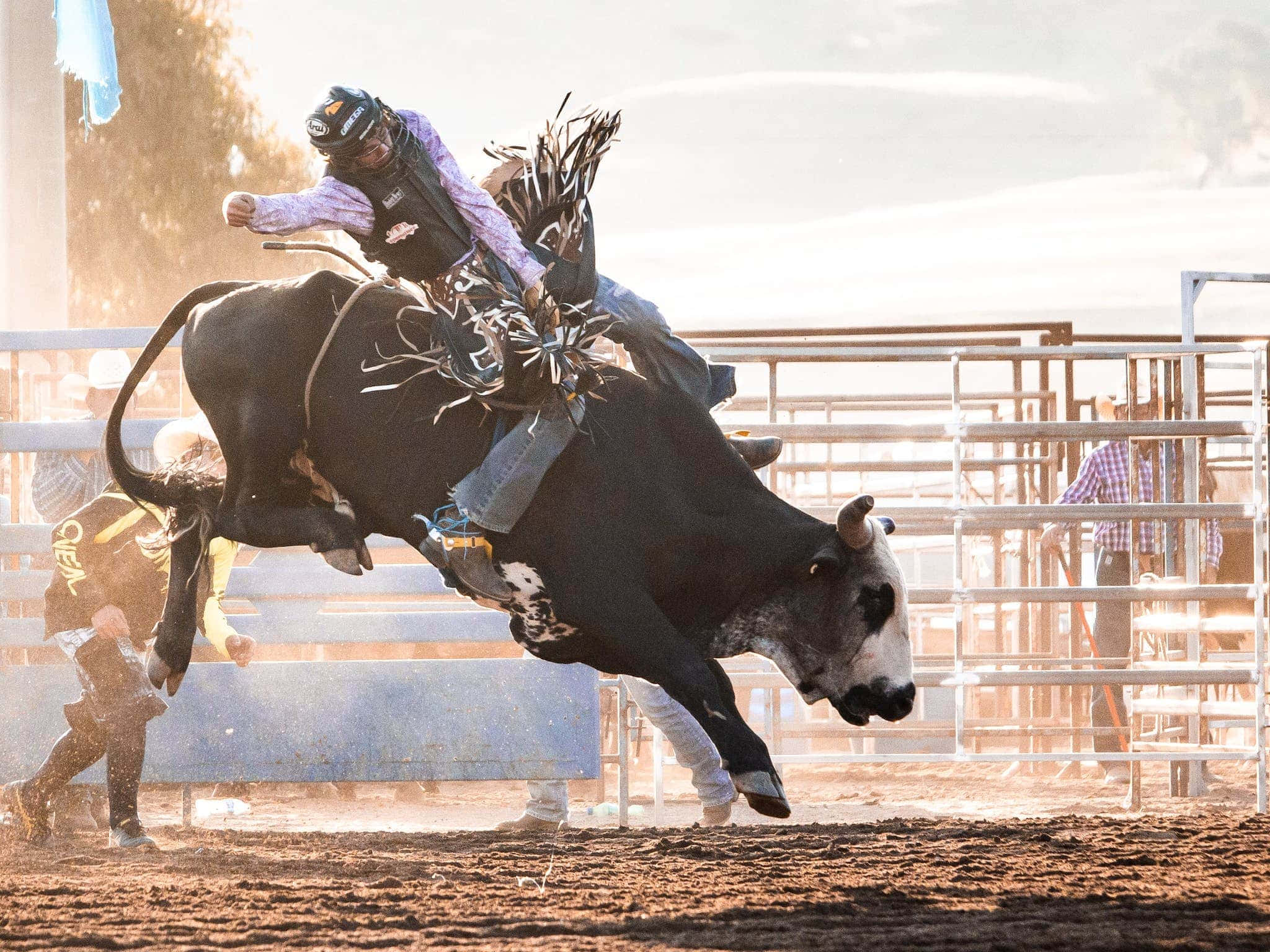 Rodeo 桌布 壁紙 — 一名騎牛選手緊抓著一頭在塵土飛揚的牛仔競技場中狂跳的黑牛，觀眾在金屬圍欄後觀看。