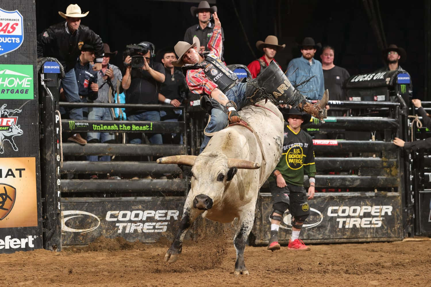 Bull Riding 桌布 壁紙 — 一名騎牛選手緊抓著一頭在牛仔競技場中猛烈掙扎的白牛，攝影師們捕捉這緊張時刻。