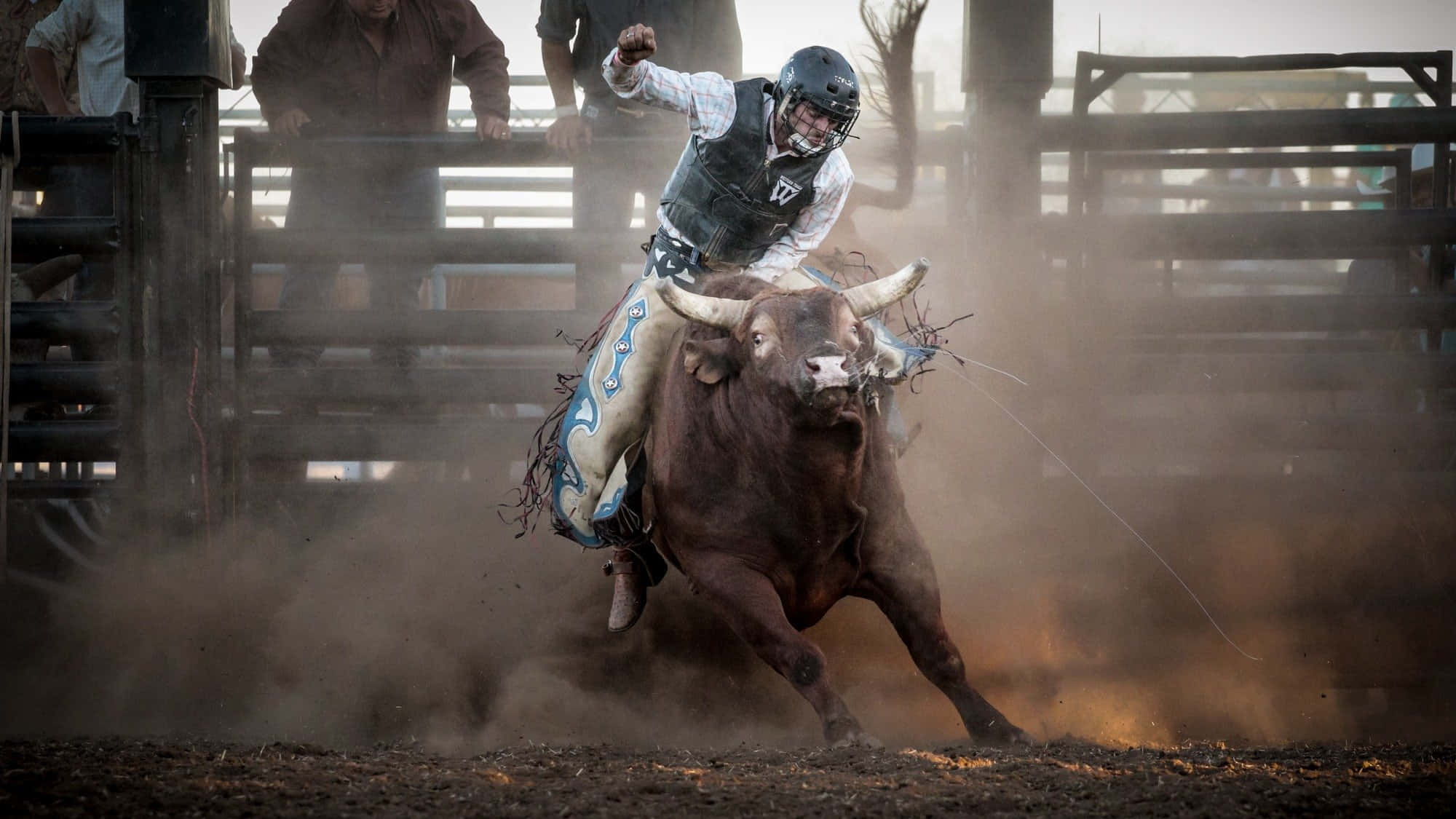Bull Rider 桌布 壁紙 — 一名騎牛選手緊抓著一頭正在狂跳的棕色公牛，周圍塵土飛揚，場景發生在牛仔競技場。