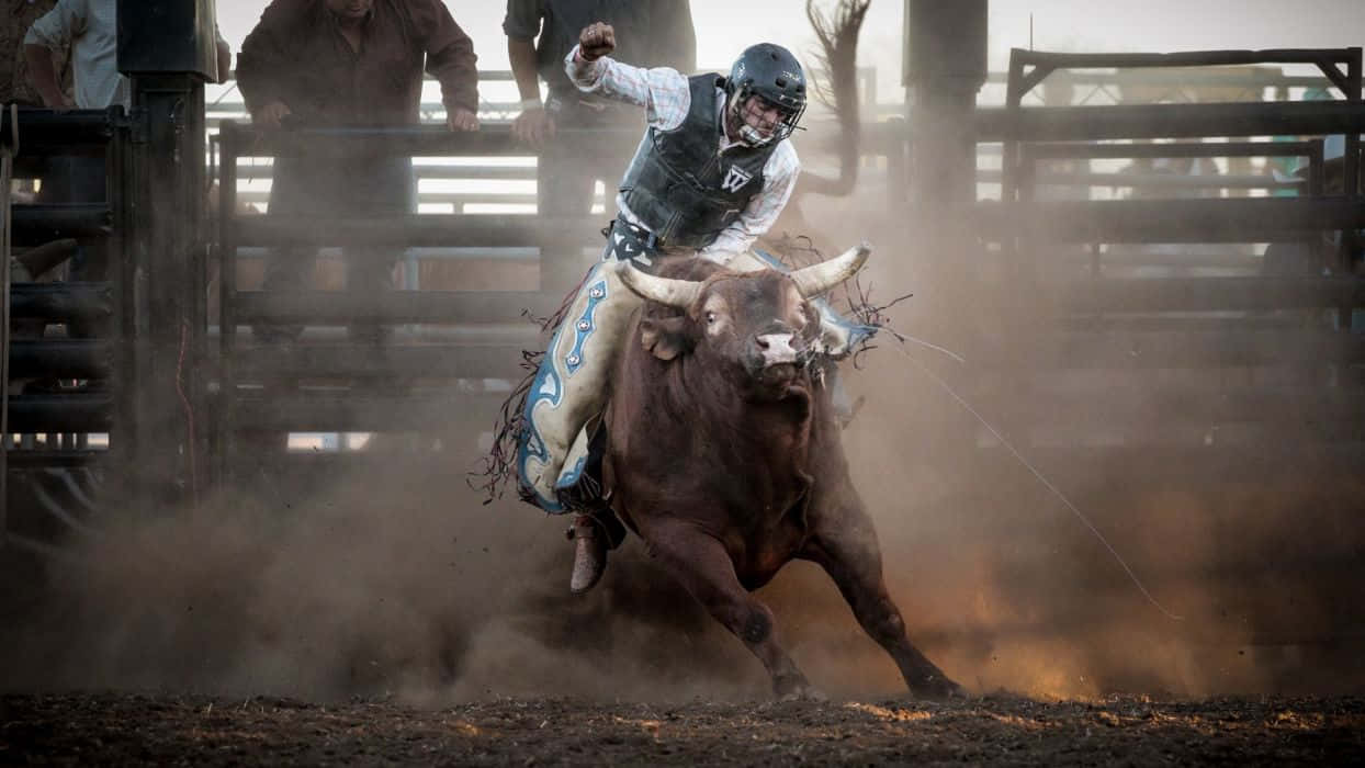 Rodeo 桌布 壁紙 — 一名騎牛選手緊抓著一頭狂跳的棕色公牛，周圍塵土飛揚，在牛仔競技場中。