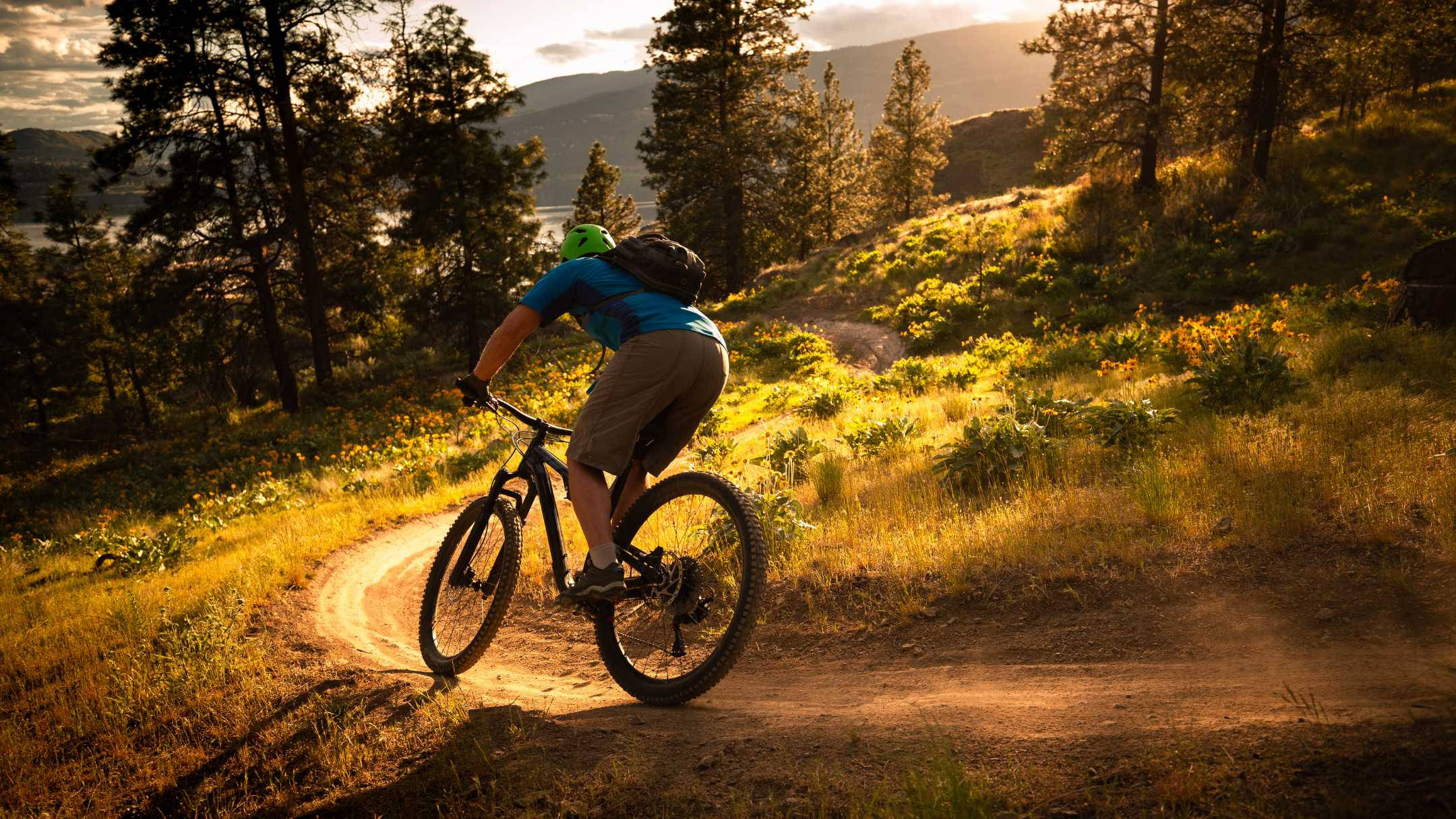 Mountain Bike 桌布 壁紙 — 一名騎自行車的人在陽光明媚的森林小徑上踩上坡，金色光線穿過高大的松樹和野花。