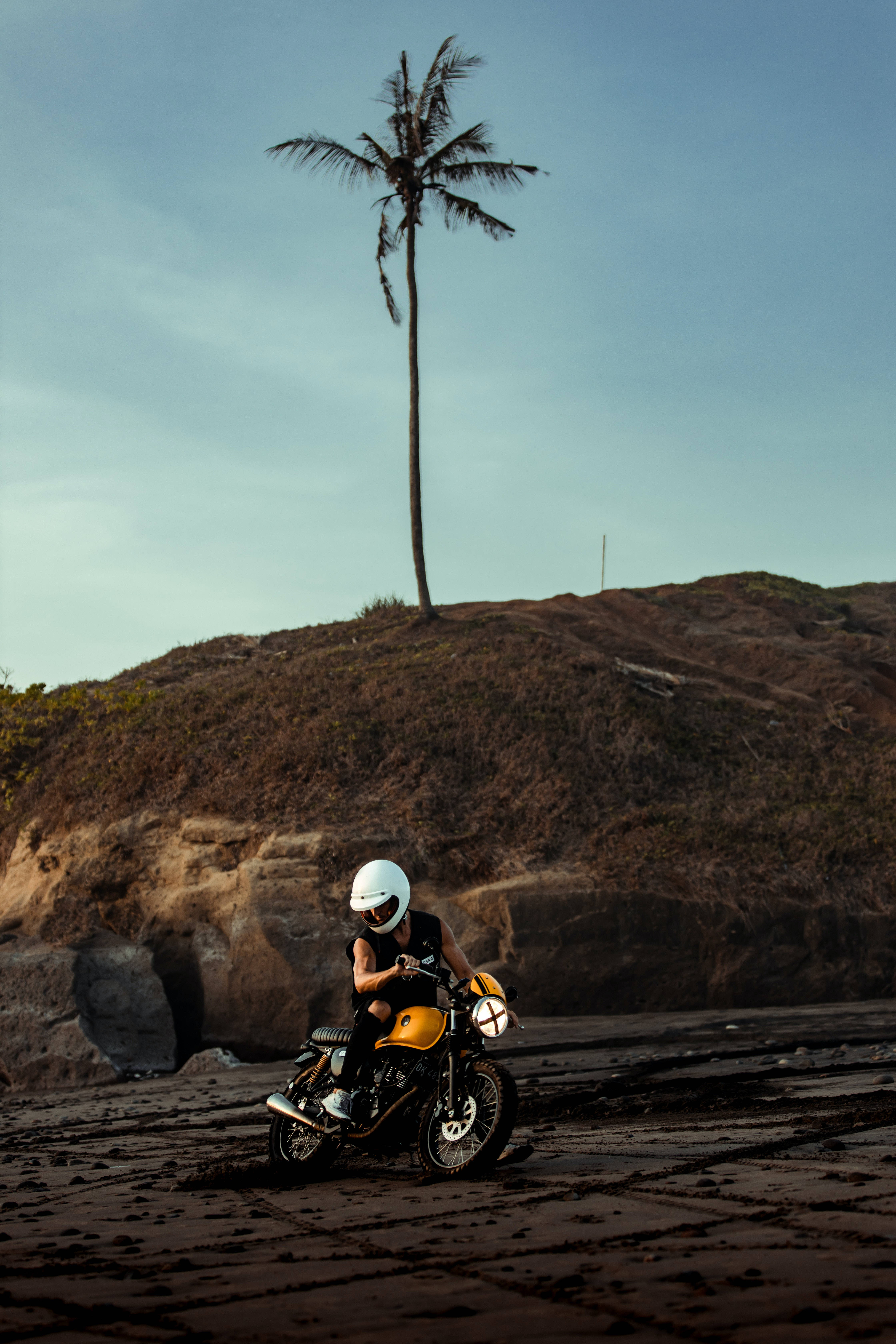bike riding 桌布 壁紙 — 一名騎著黃色摩托車的騎士在晴朗天空下，於一棵孤獨的棕櫚樹下的濕沙灘上稍作停留。