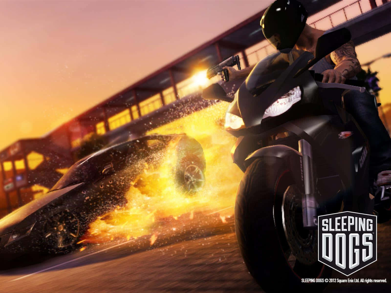 Sleeping Dogs 桌布 壁紙 — 一名騎著黑色摩托車的騎士在日落高速追逐中向一輛燃燒的跑車開槍。