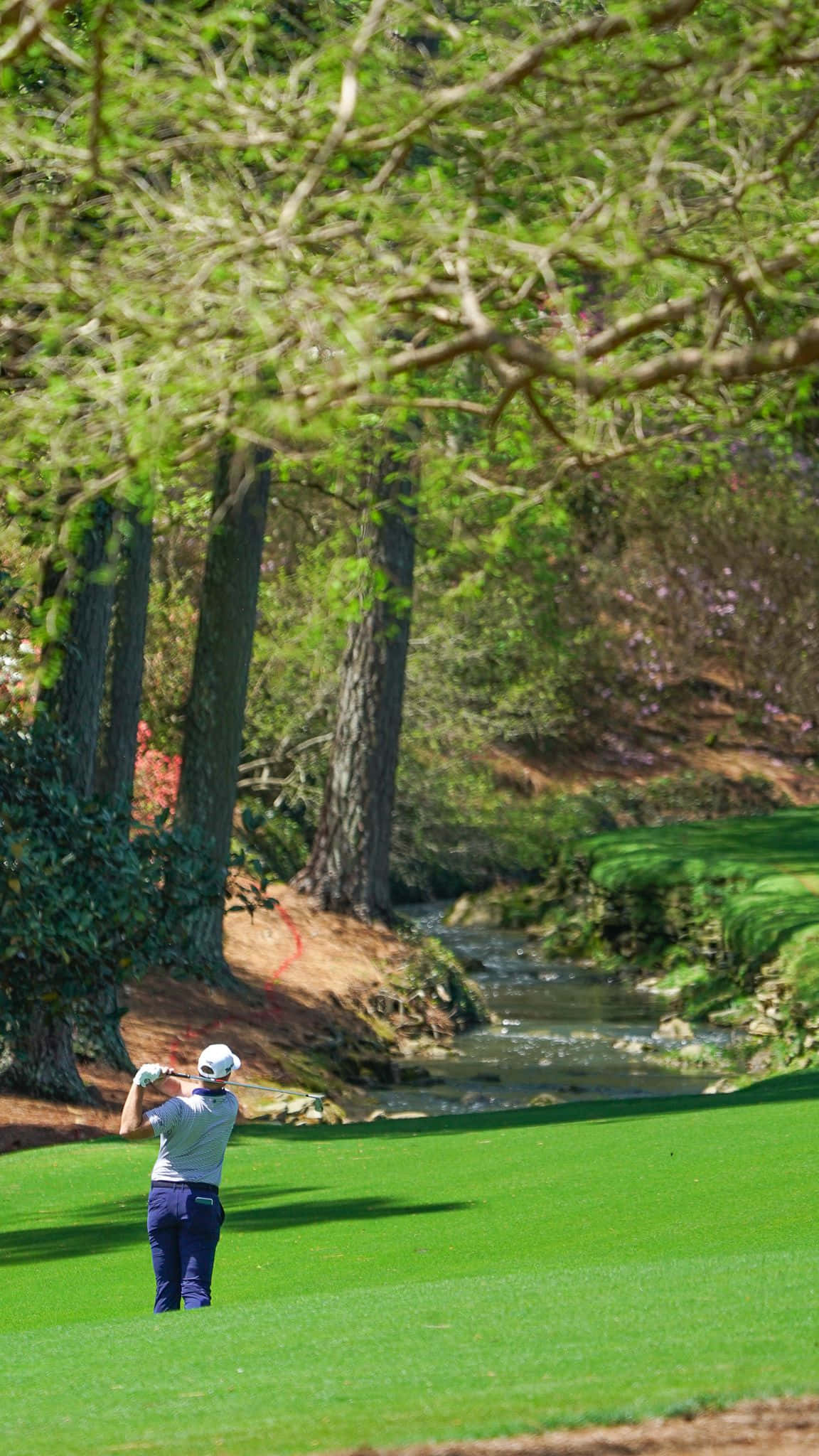Augusta National iPhone 桌布 壁紙 — 一名高爾夫球手在陽光明媚的球道上揮桿，周圍是茂密的樹木和蜿蜒的小溪。