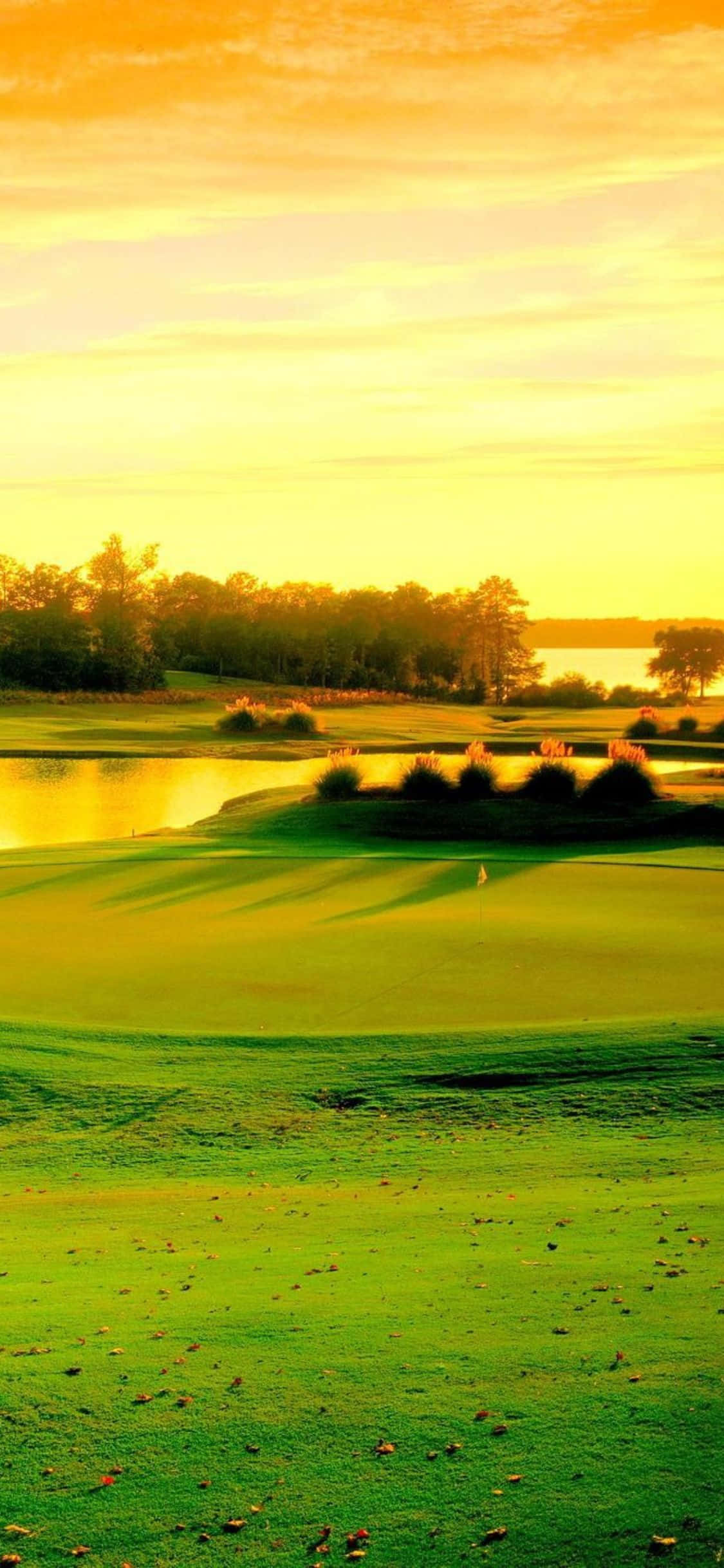 iPhone X Golf Course 桌布 壁紙 — 一名高爾夫球手獨自站在日落時分充滿活力的綠色球道上，金色光線反射在平靜的水障礙上。