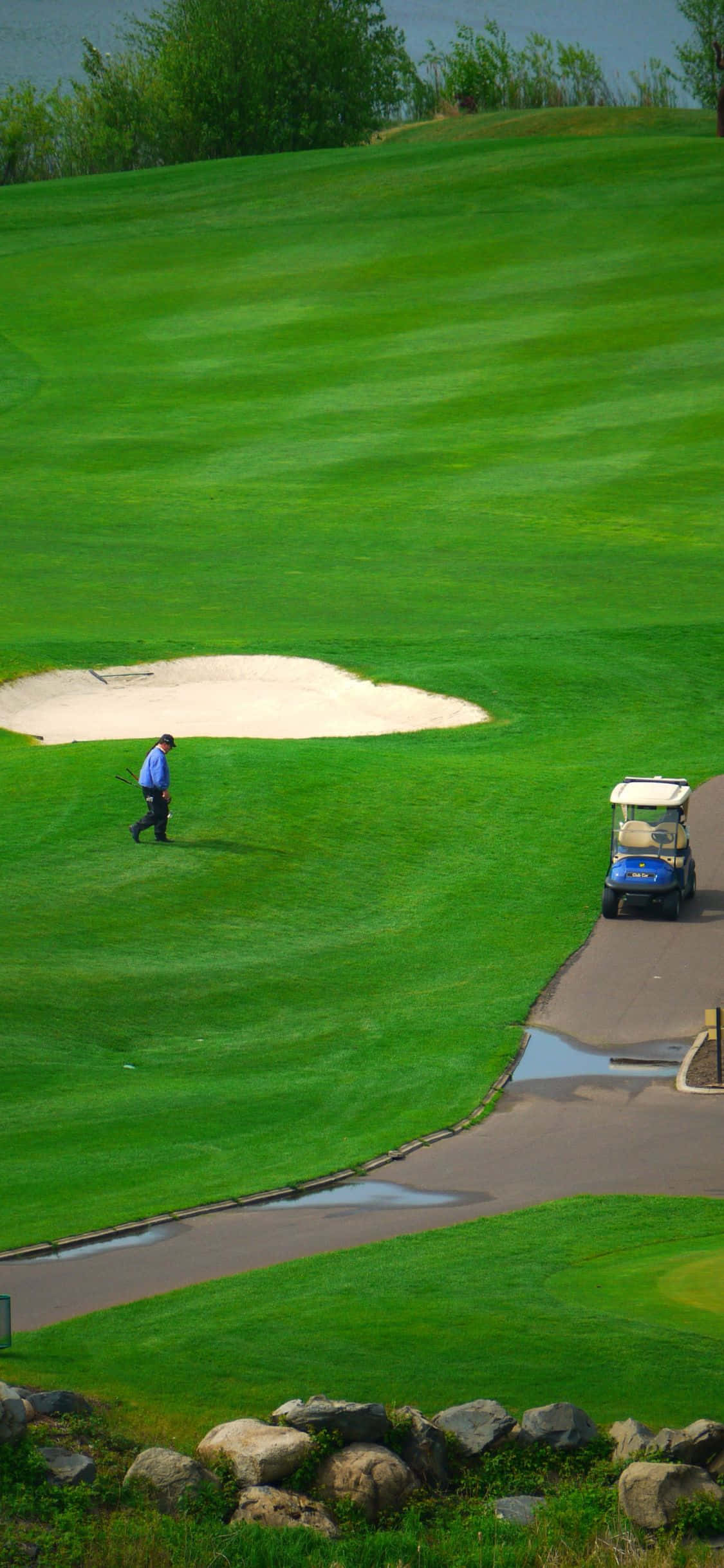 Golf Cart 桌布 壁紙 — 一名高爾夫球手走過充滿活力的綠色球道，旁邊是沙坑，一輛藍色高爾夫球車停在鋪砌的小路上。