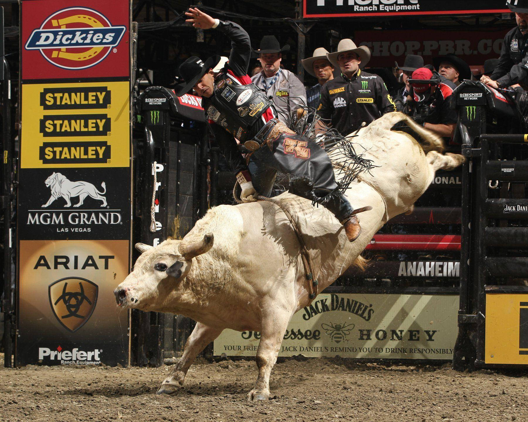 Bull Riding 桌布 壁紙 — 一名鬥牛士在牛仔競技場緊緊抓住一頭正在猛踢的白色公牛，場內有贊助商橫幅和觀眾觀看。