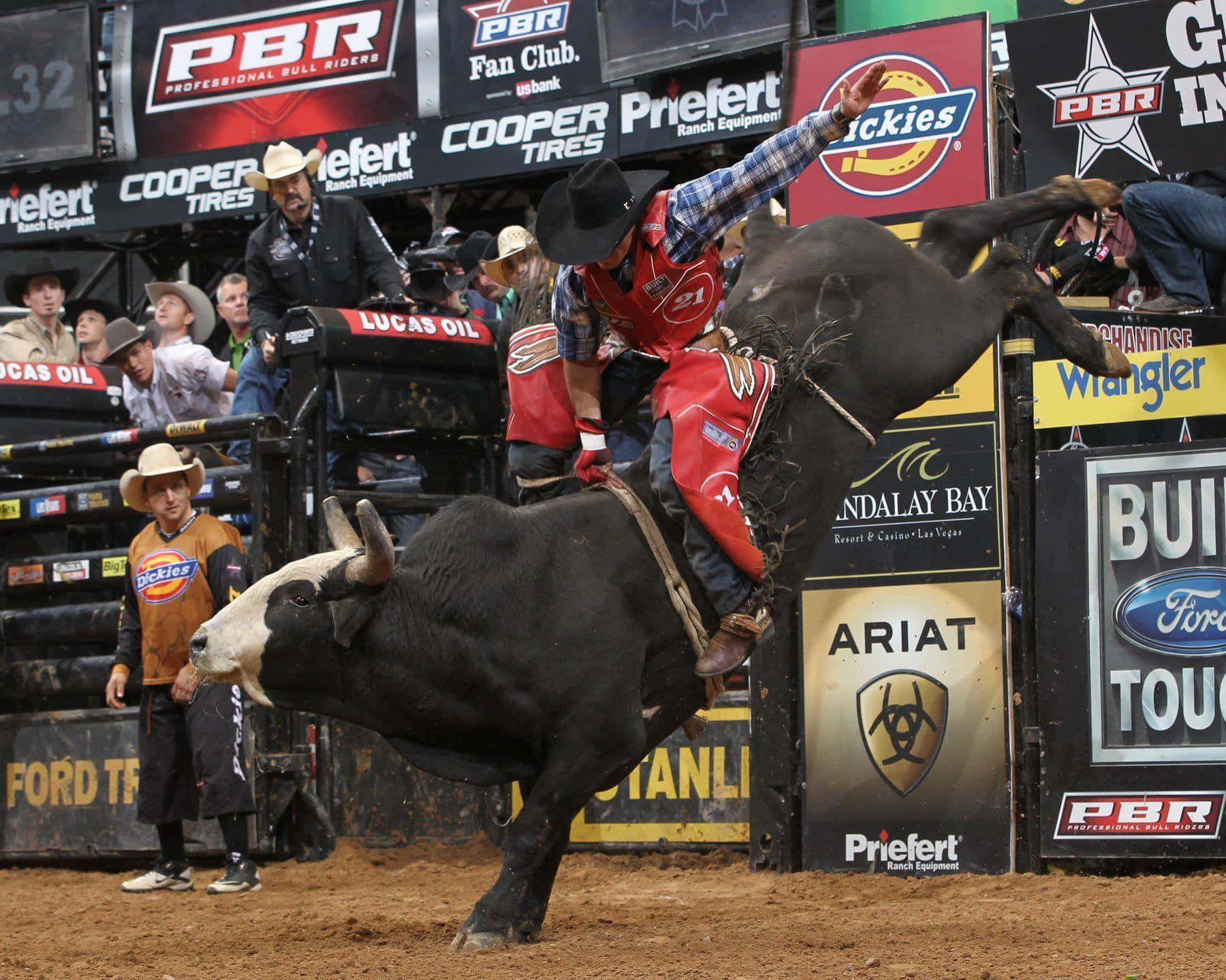 Bull Rider 桌布 壁紙 — 一名鬥牛騎士在牛仔競技場緊抓著一頭騰躍的黑牛，觀眾從看台觀看。