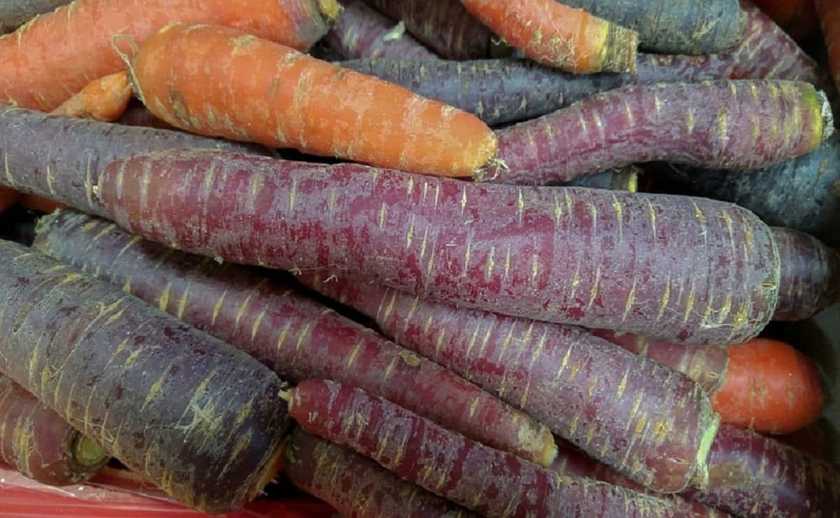 Purple Carrots 桌布 壁紙 — 一堆充滿活力的傳家寶胡蘿蔔，帶有深紫色和亮橙色色調，展現自然紋理和大地色調。