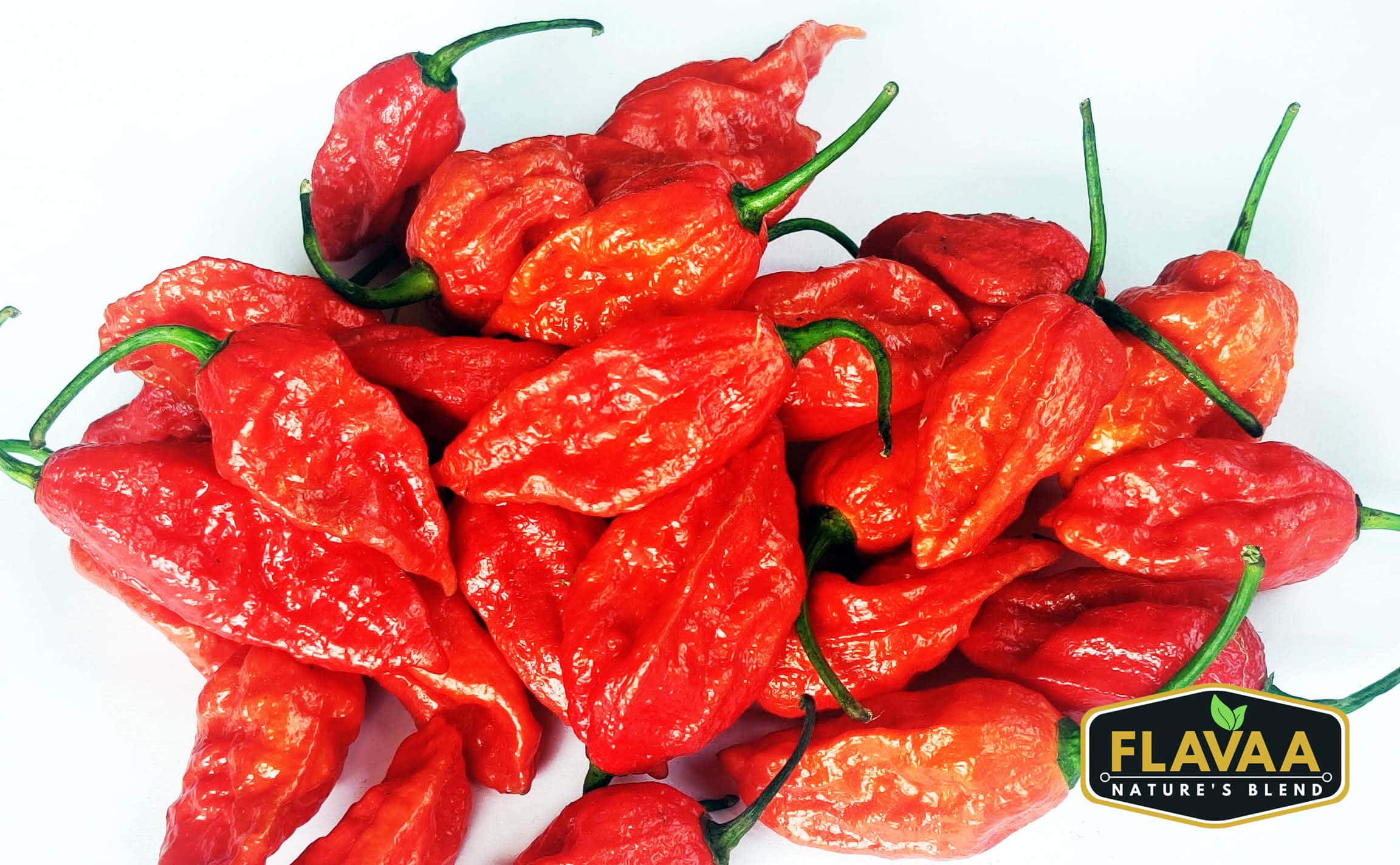 Ghost Pepper 桌布 壁紙 — 一堆充滿活力的皺皮紅哈瓦那辣椒，帶有綠色莖，襯在純白背景上。