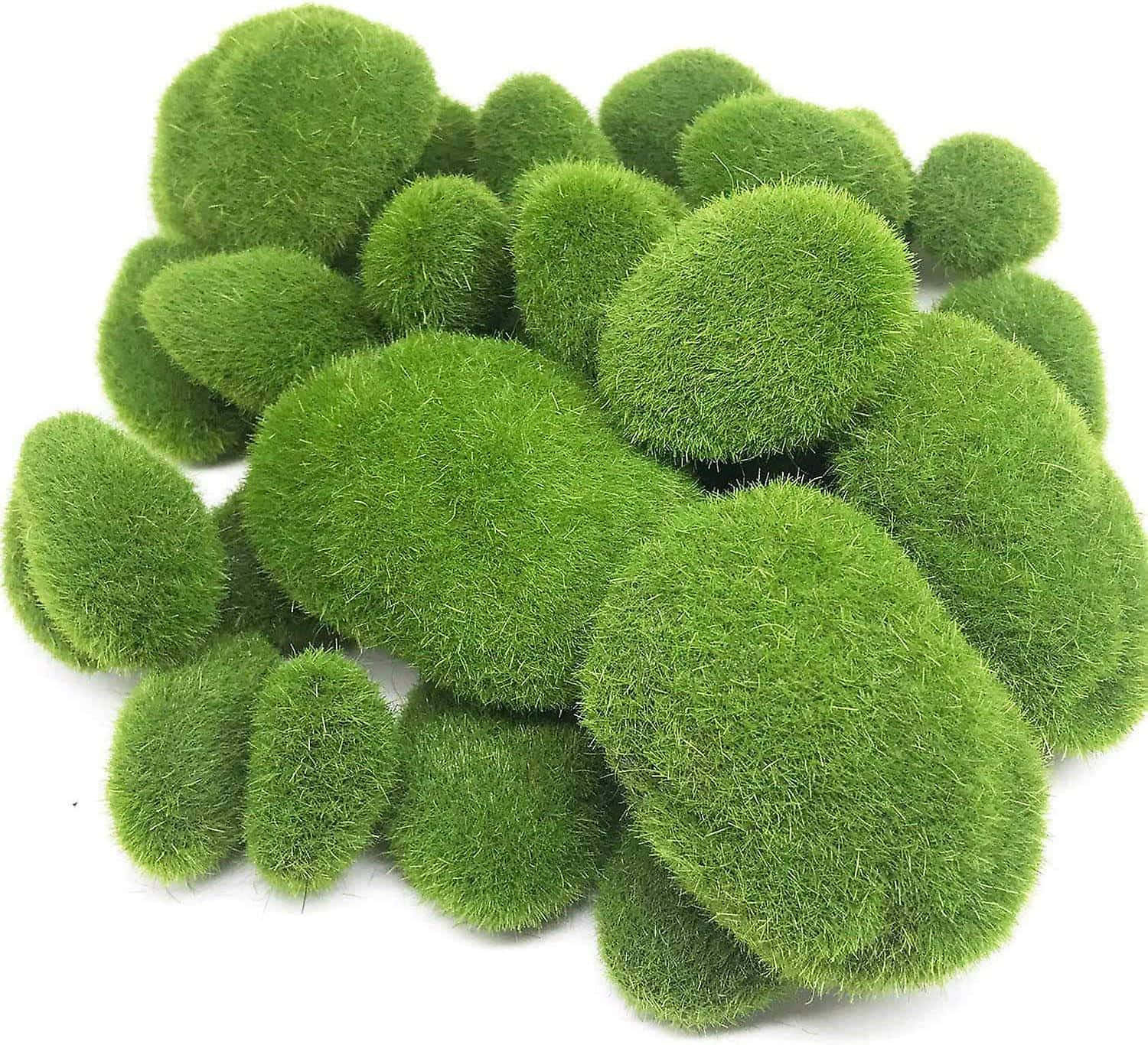 Green Moss 桌布 壁紙 — 一堆充滿活力的綠色苔蘚球，帶有絨毛質感，襯托在純白背景上。