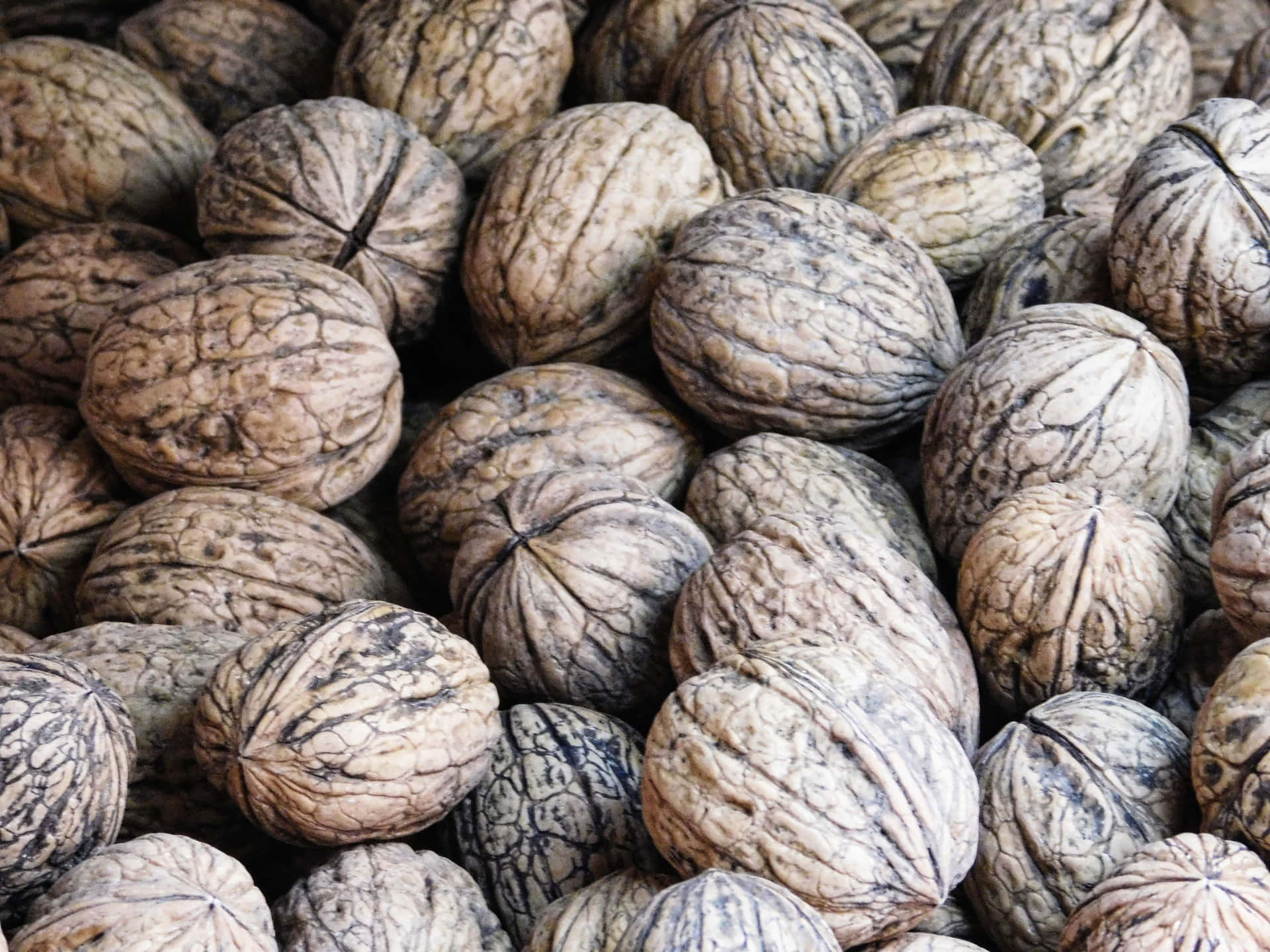 Walnuts in shell 壁紙 — 一堆密集的完整核桃，帶有複雜的脊狀外殼，呈現大地色調的棕色和灰色。