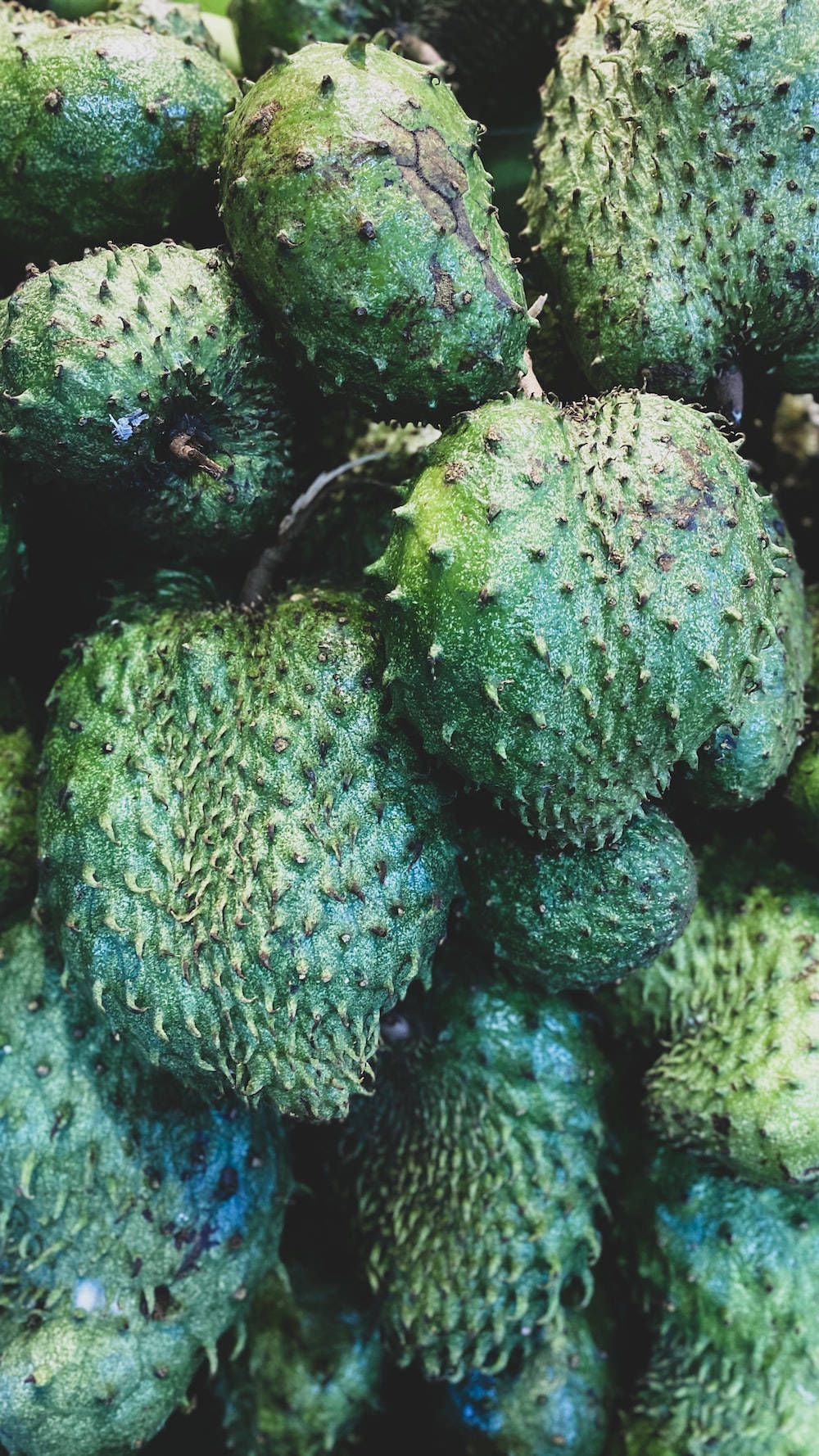 Fruits 桌布 壁紙 — 一堆帶刺的綠色刺果番荔枝果實的特寫，表皮有紋理和自然瑕疵。