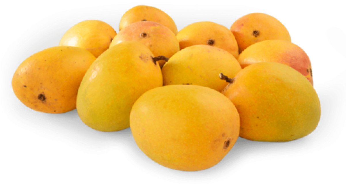 Mangoes 桌布 壁紙 — 一堆帶有輕微紅暈的成熟黃芒果放在白色盤子上，背景為純黑色。
