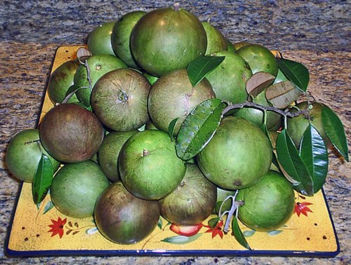 Fruit 桌布 壁紙 — 一堆帶葉的綠色柑橘類水果放在花崗岩檯面上的黃色花卉盤子上。