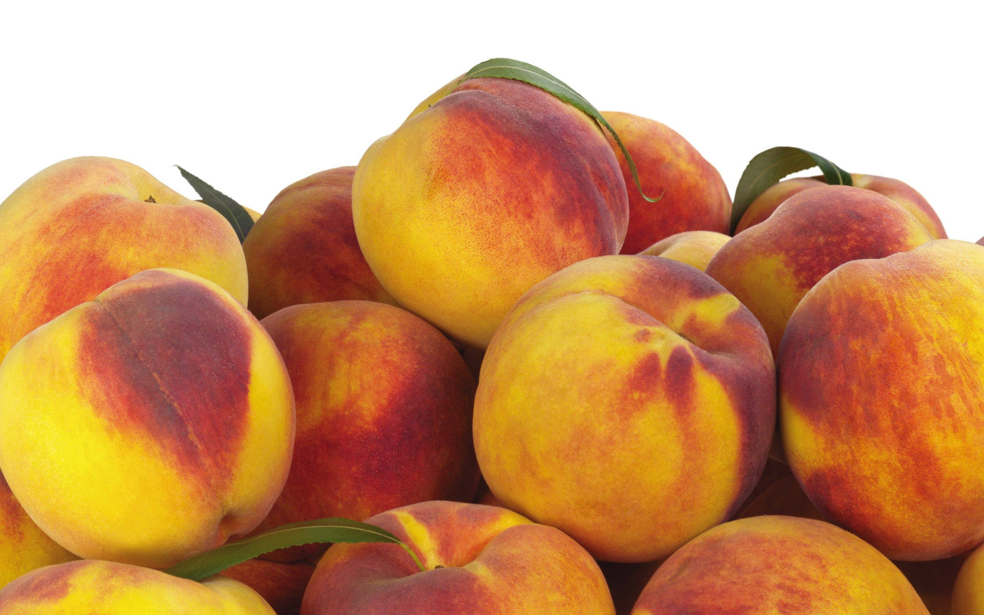 Peach 桌布 壁紙 — 一堆成熟的桃子，帶有黃色和紅色的色澤和新鮮的綠葉，放在潔白的背景上。