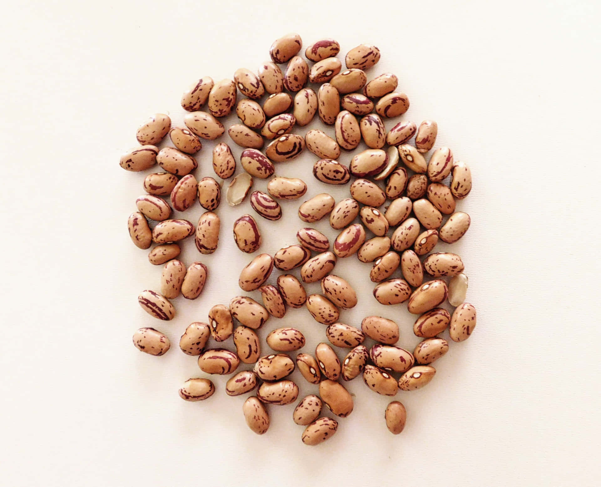 Beans 壁紙 — 一堆散落的斑點棕色和奶油色豆子放在純米白色表面上。