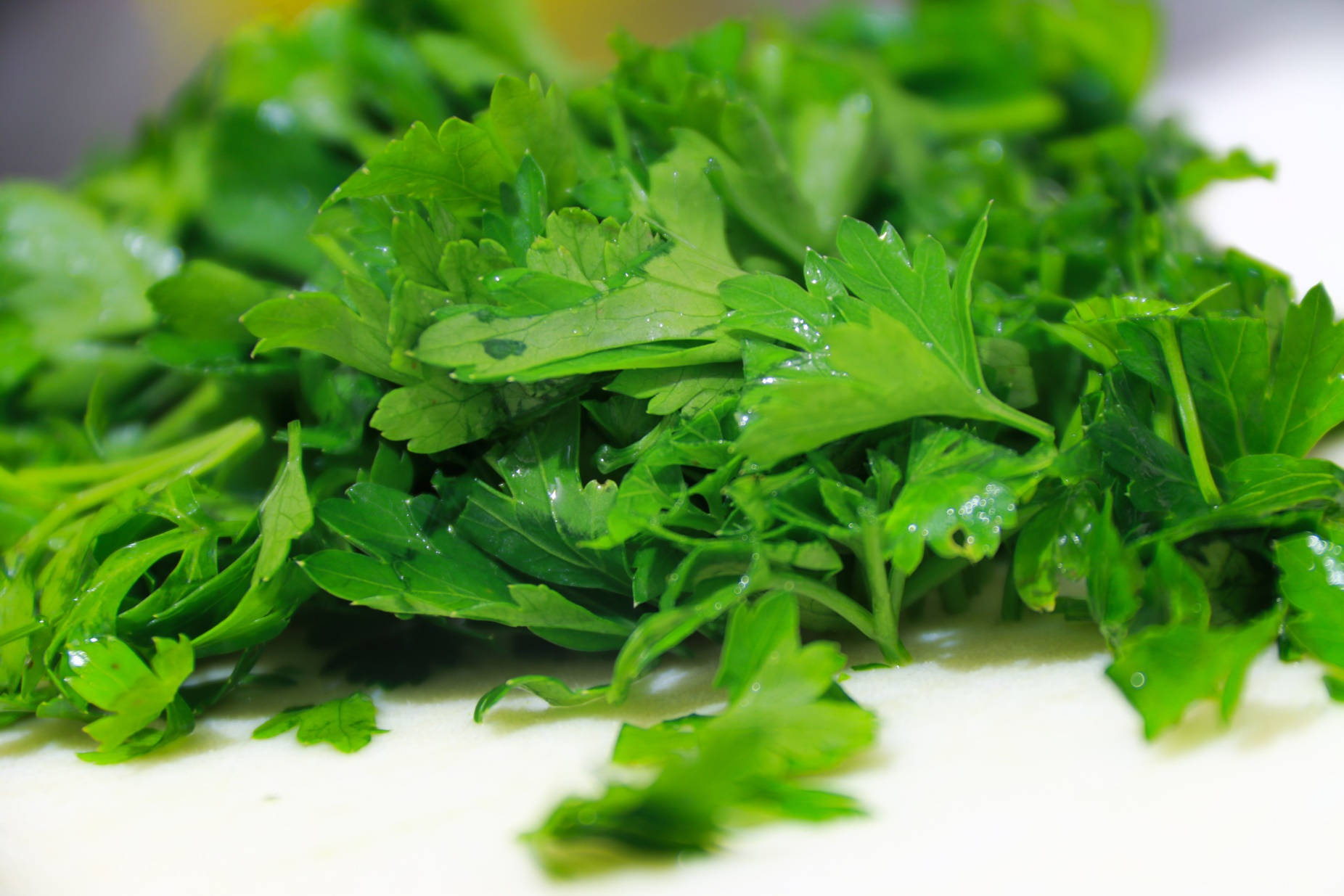 Coriander 桌布 壁紙 — 一堆新鮮切碎的歐芹，在白色砧板上閃爍著水珠。