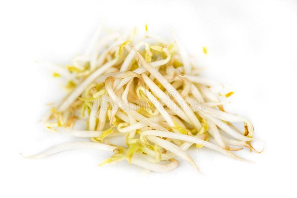 beans 桌布 壁紙 — 一堆新鮮白色和黃色的豆芽，在純白色背景上的特寫。