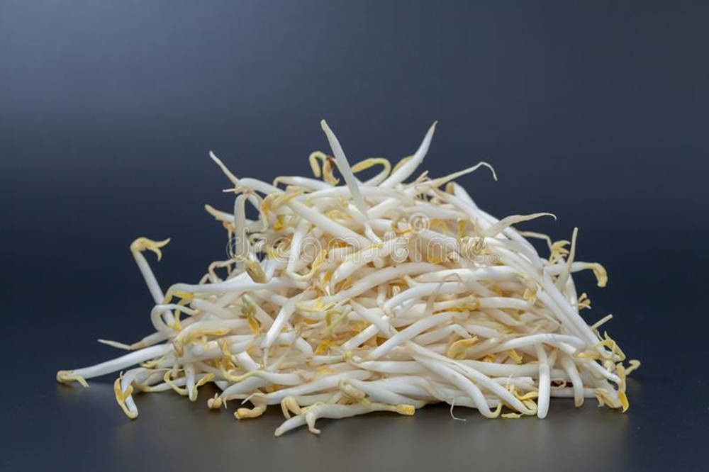 beans 桌布 壁紙 — 一堆新鮮的白色和黃色豆芽放在深灰色表面上，光線柔和。