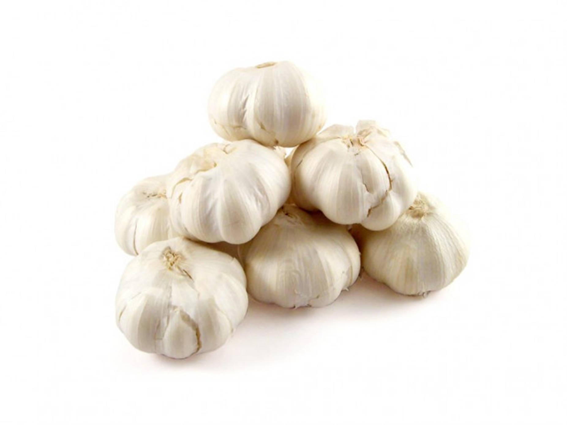 Garlic 桌布 壁紙 — 一堆新鮮的白蒜頭，帶有紙質外皮，堆疊在潔白的背景上。