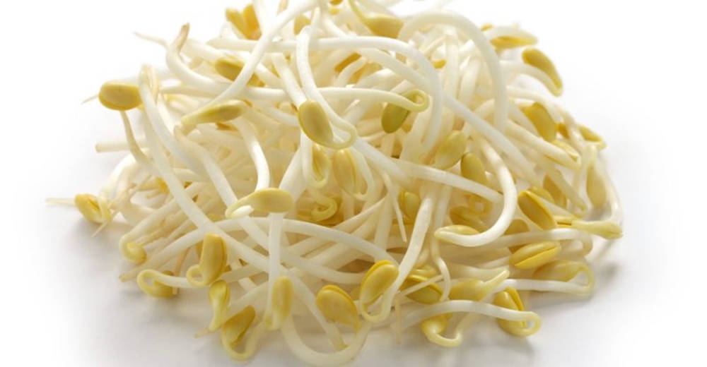 beans 桌布 壁紙 — 一堆新鮮的白黃豆芽，帶有細嫩的莖和圓潤的尖端，襯托在潔白的背景上。