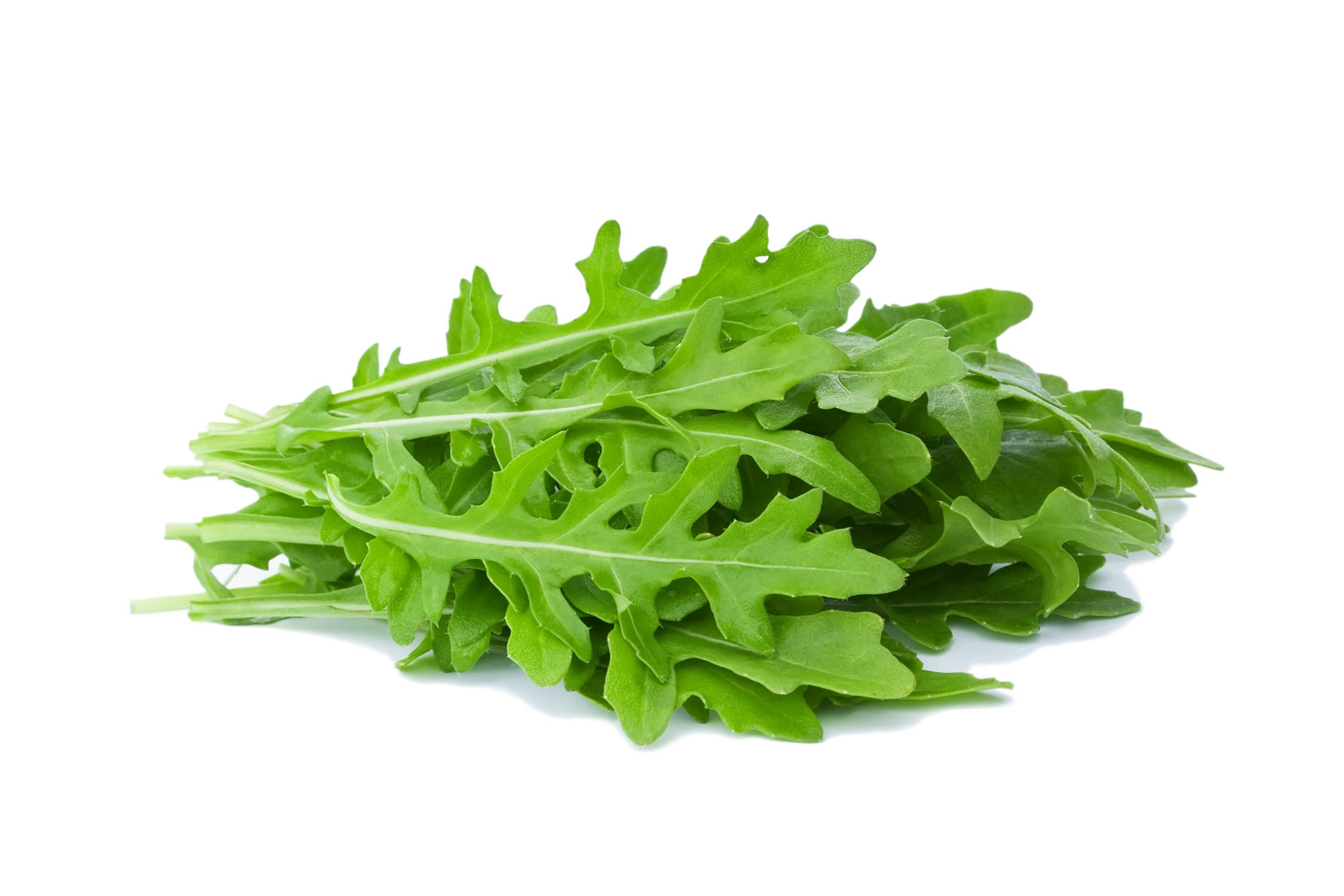 plants 桌布 壁紙 — 一堆新鮮的翠綠芝麻菜葉，邊緣呈鋸齒狀，放在潔淨的白色背景上。