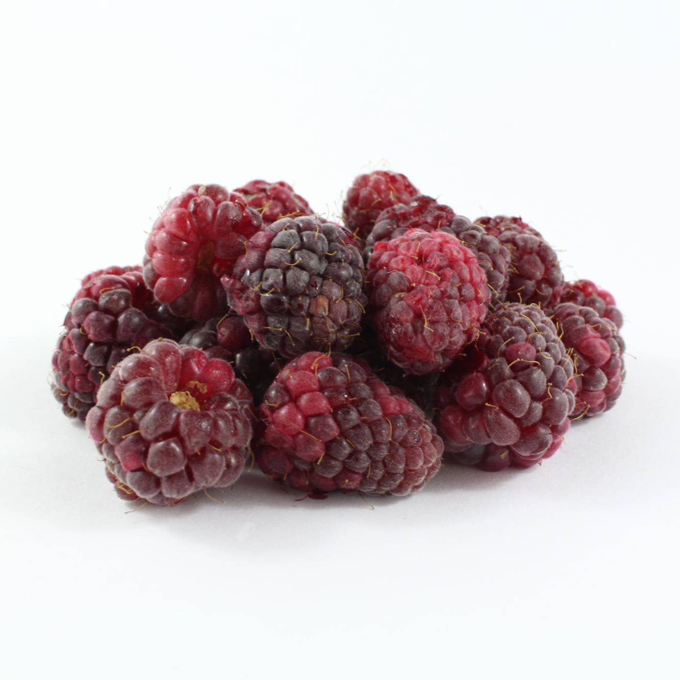 Berry 桌布 壁紙 — 一堆新鮮的覆盆子，帶有深紅和紫色色調，襯托在純白背景上。