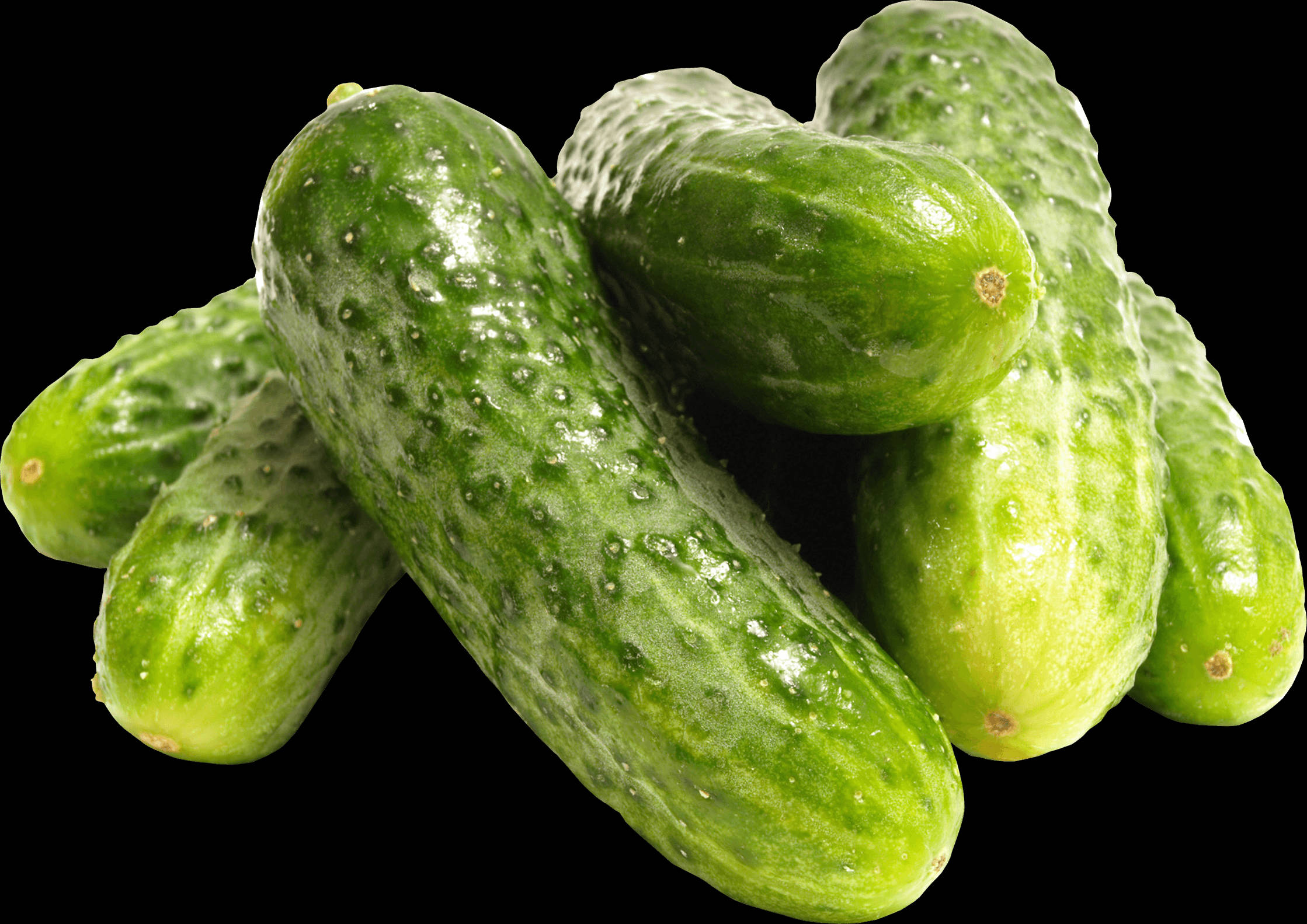 cucumber 桌布 壁紙 — 一堆新鮮的青瓜，水珠在純黑背景上閃閃發光。