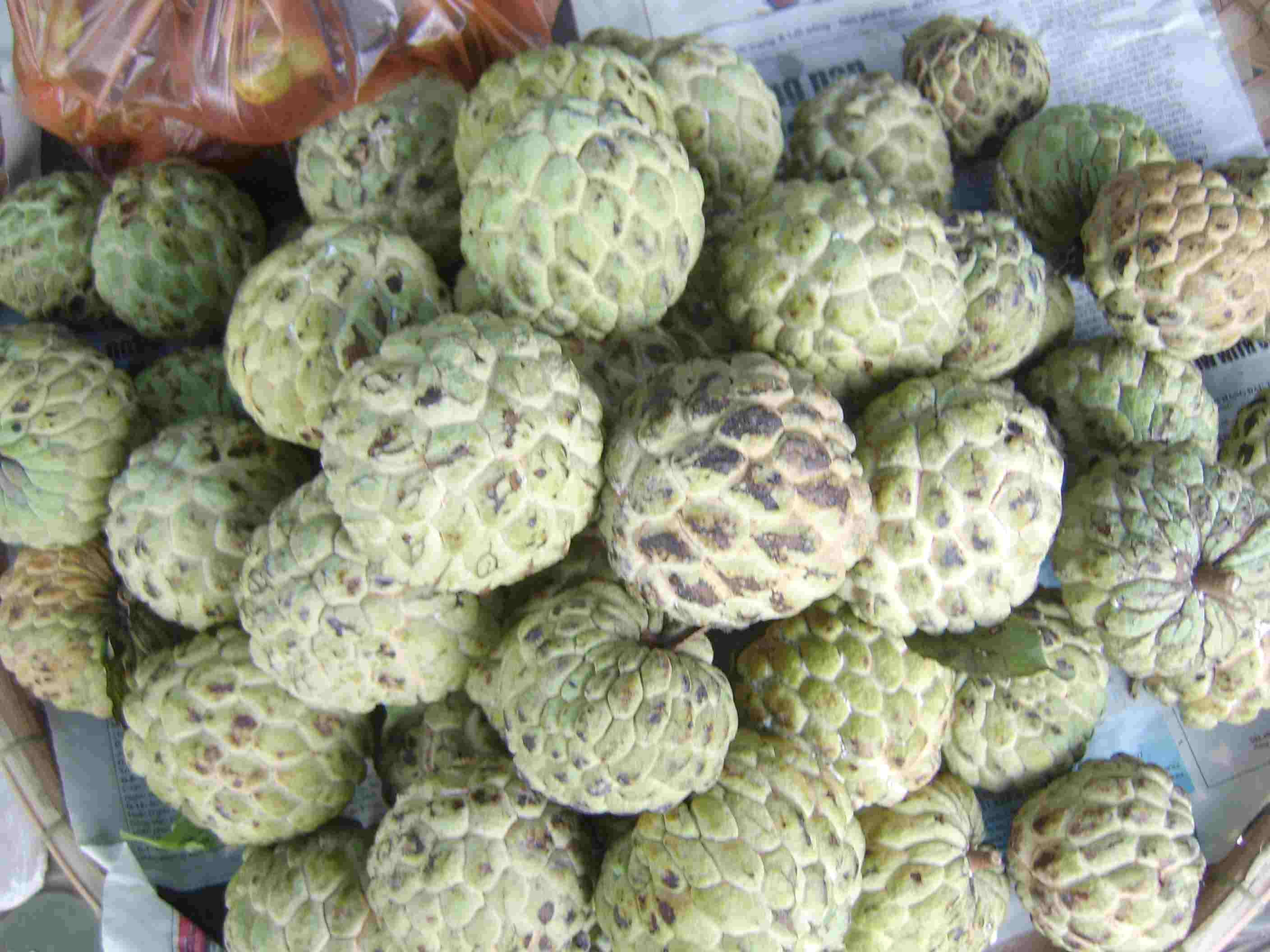 Fruits 桌布 壁紙 — 一堆新鮮綠色的刺果番荔枝，表皮凹凸不平有紋理，放在市場攤位的報紙上。
