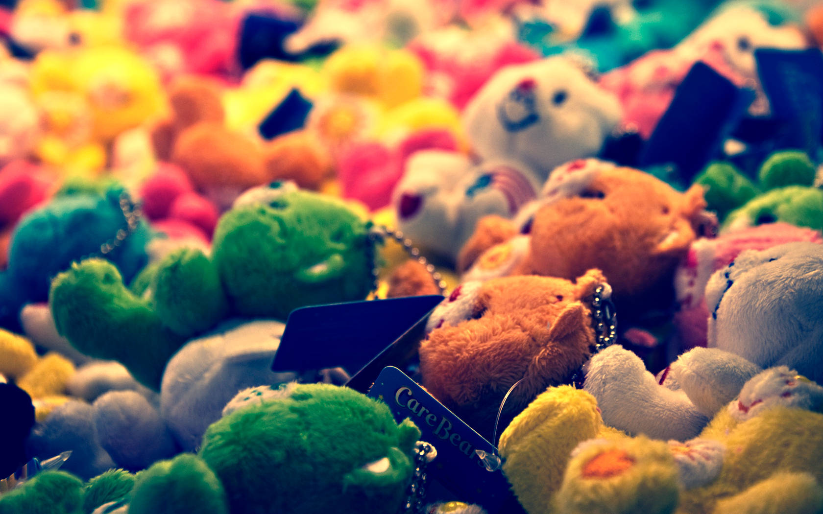 彩虹熊 桌布 壁紙 — 一堆色彩繽紛的柔軟毛絨 Care Bears 和填充動物，帶有標籤，淺景深。
