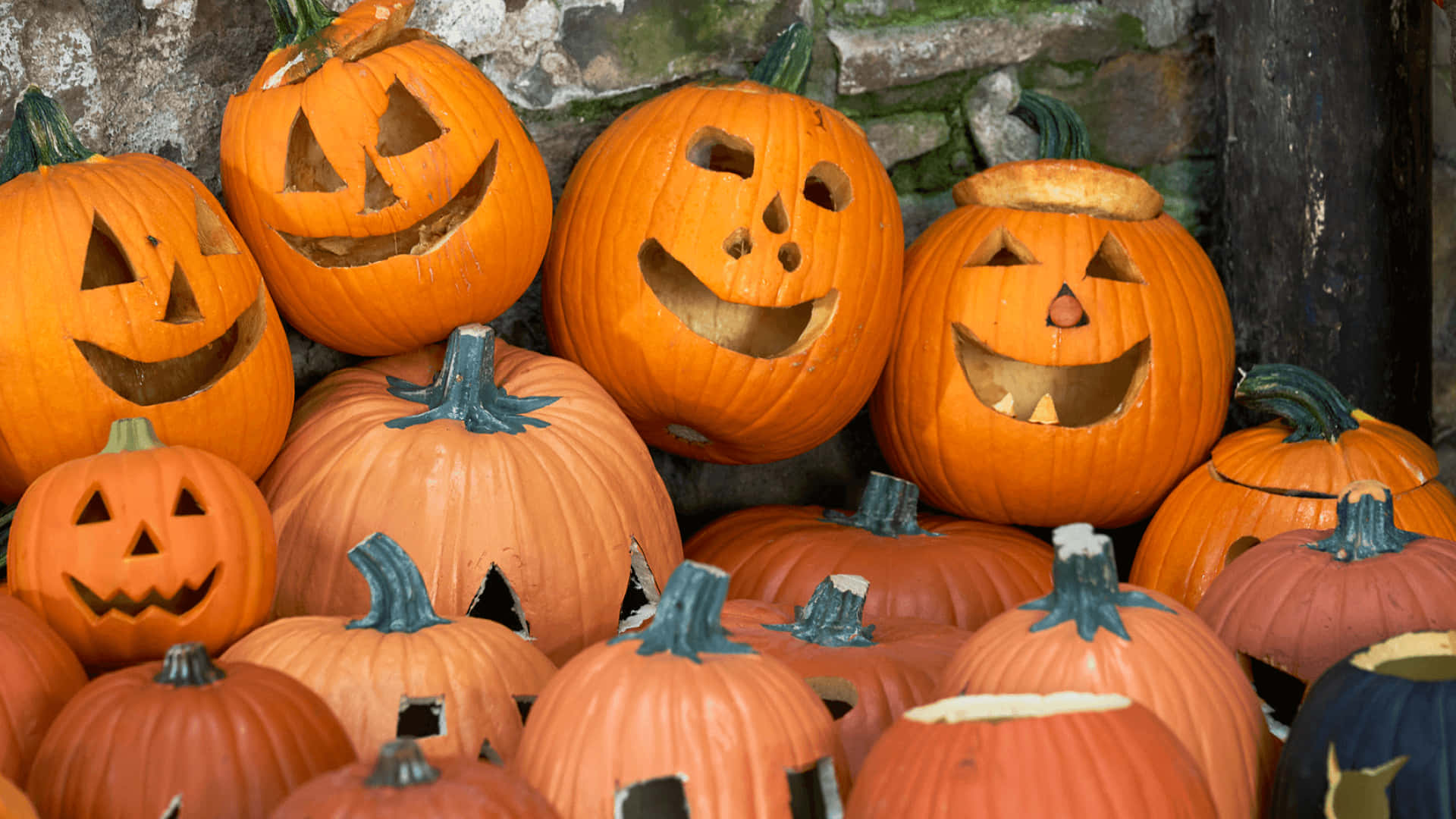 pumpkins 桌布 壁紙 — 一堆色彩鮮豔的雕刻南瓜燈，帶有發光的臉孔，堆疊在質樸的石牆上。