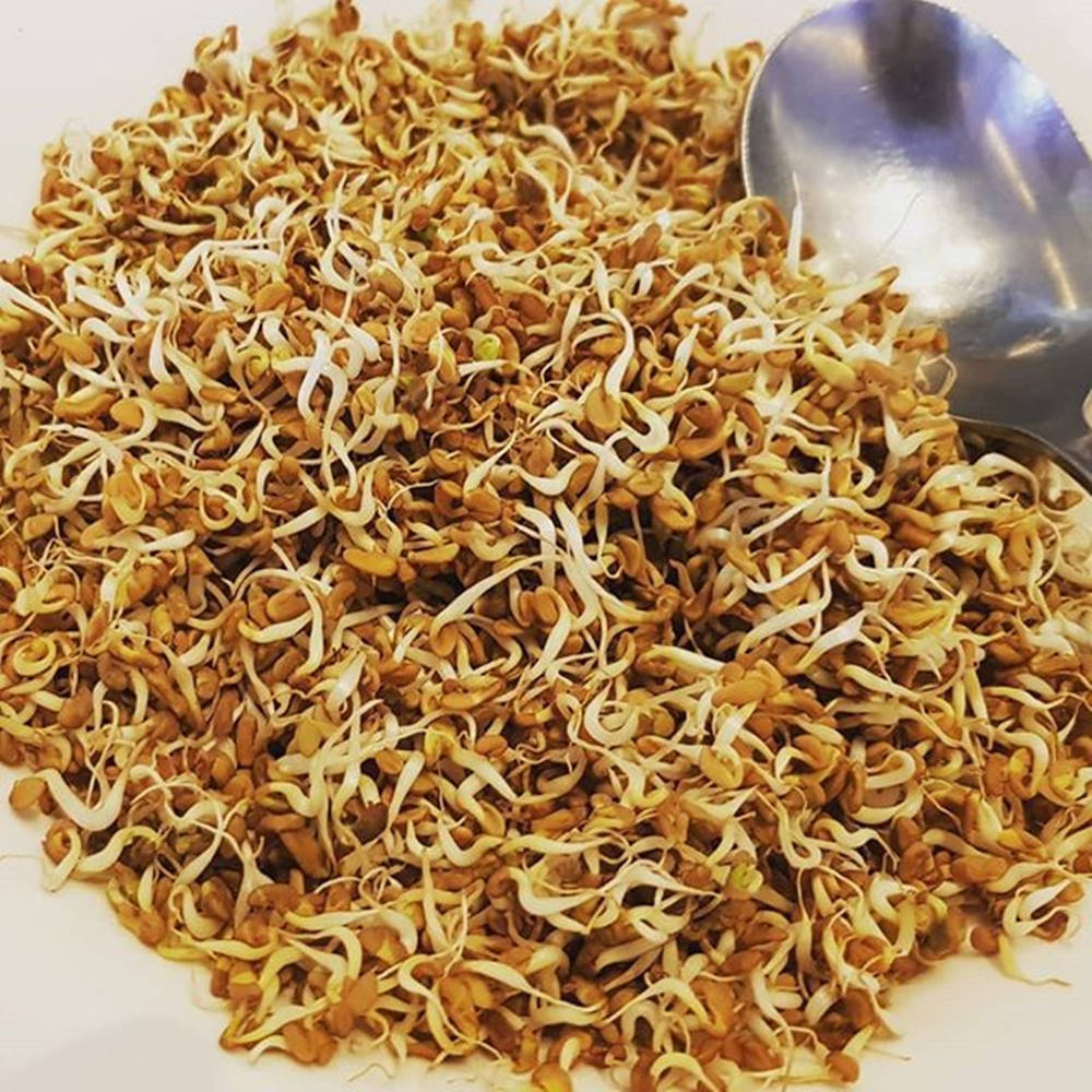 烹飪 桌布 壁紙 — 一堆金棕色芽菜的近距離特寫，帶有白色捲鬚，旁邊放著一個閃亮的湯匙。