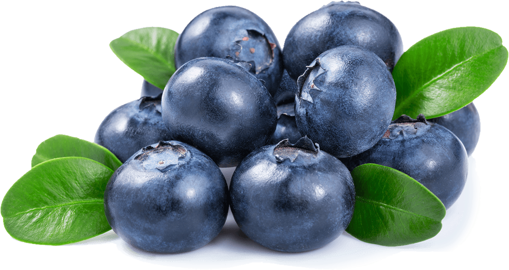 Blueberry 桌布 壁紙 — 一堆飽滿的藍莓，表皮光滑，搭配新鮮綠葉，擺放在白色盤子上。