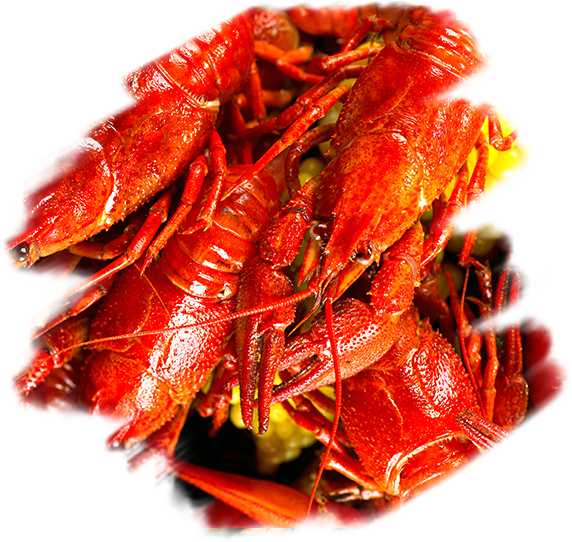 Crayfish 桌布 壁紙 — 一堆鮮紅色的熟小龍蝦，黃色玉米棒從中探出頭來。
