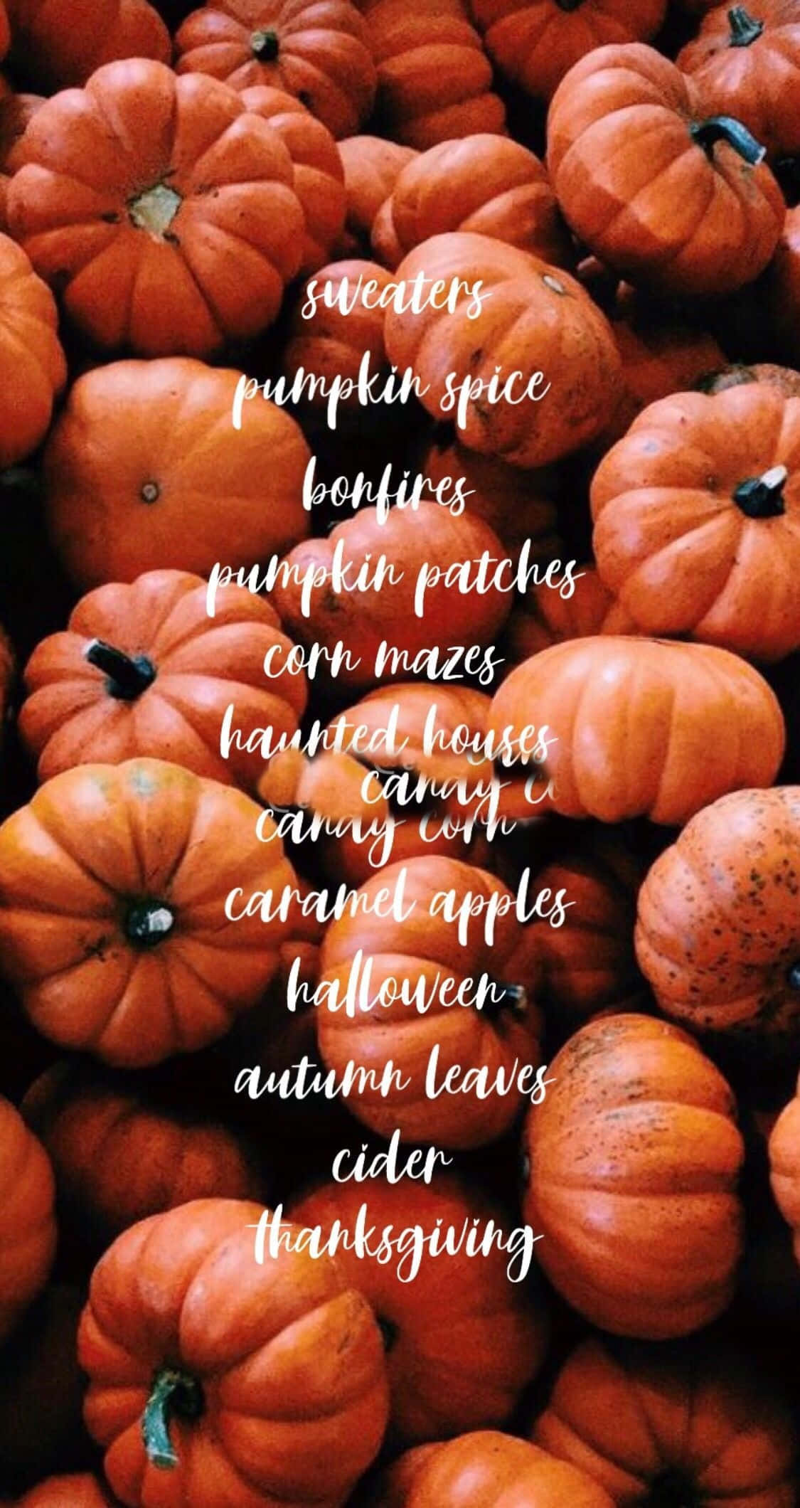 Hello October With Pumpkin 桌布 壁紙 — 一堆鮮豔的橙色南瓜，上面覆蓋著手寫的秋季主題文字。