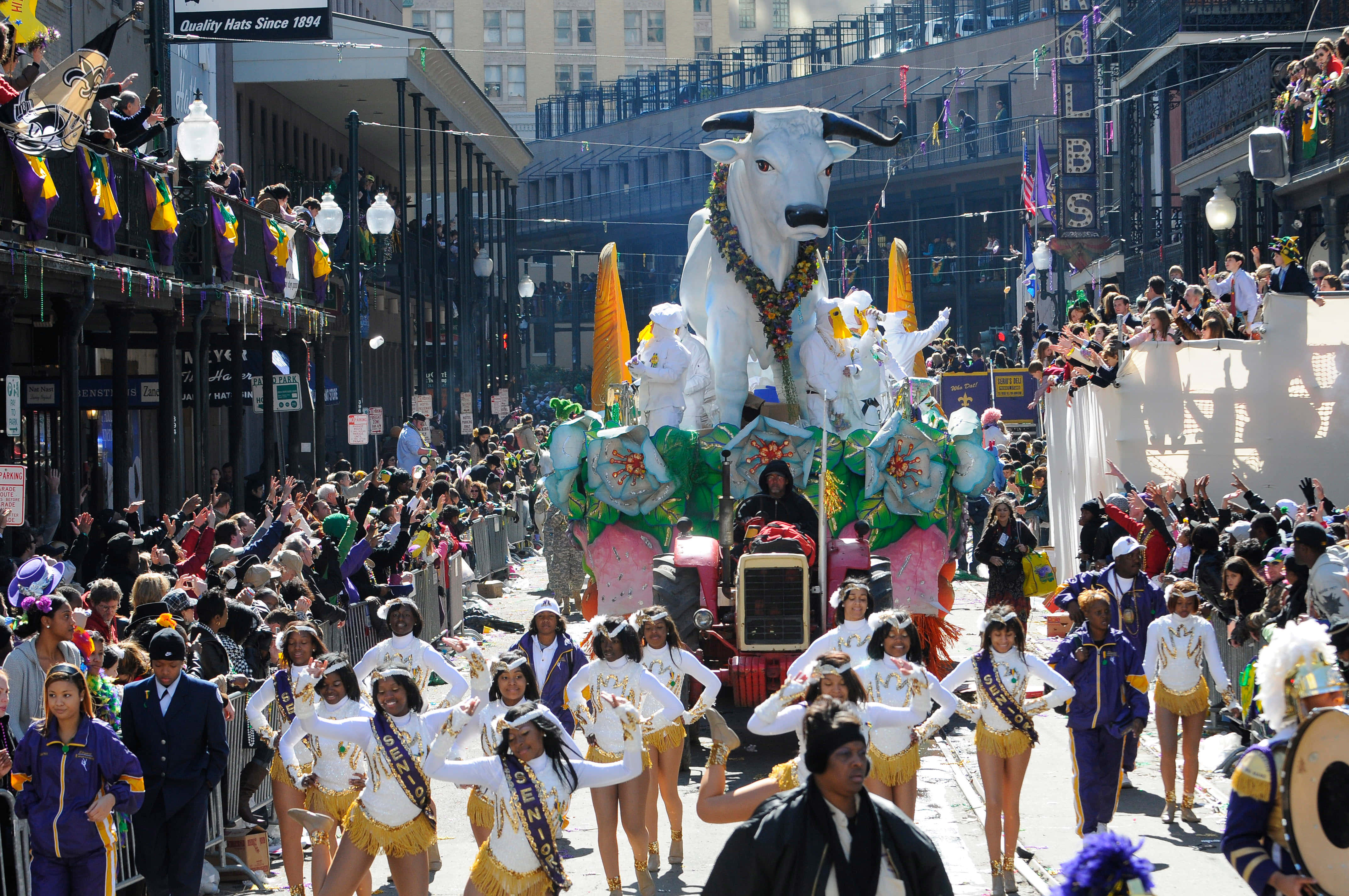 Mardi Gras 桌布 壁紙 — 一場充滿活力的狂歡節遊行，以巨大的白色公牛花車和身穿金色和白色服裝的舞者在擁擠的街道上前行。