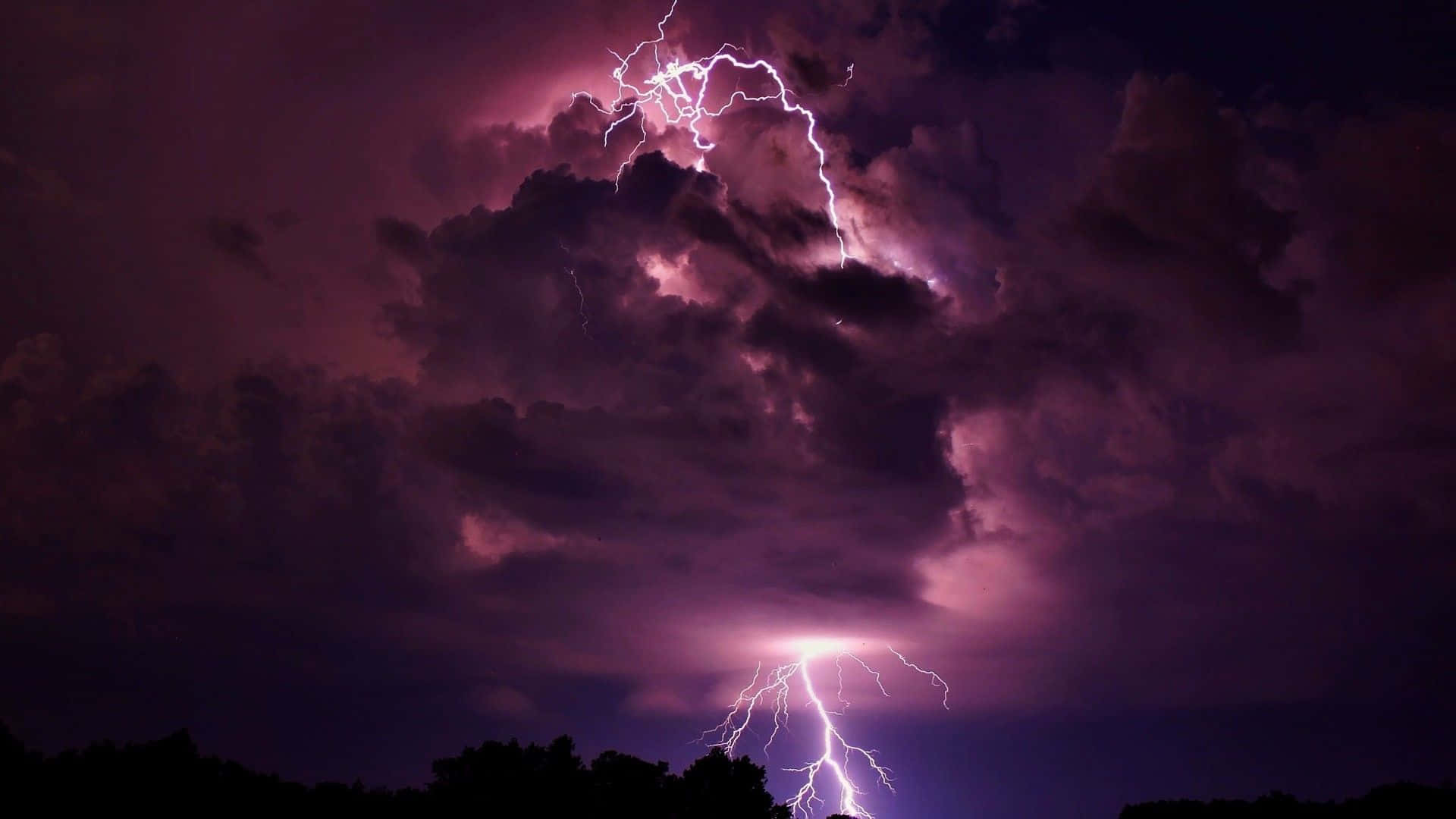 thunder 桌布 壁紙 — 一場戲劇性的紫色閃電風暴照亮了夜間樹木剪影上方的烏雲。