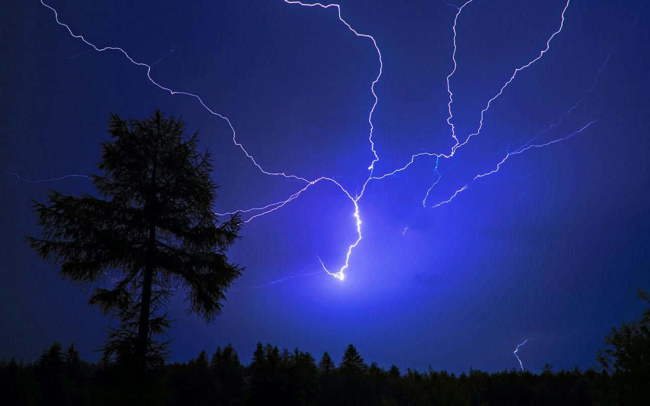 Thunderstorm 桌布 壁紙 — 一場戲劇性的雷暴照亮了黑暗的森林，鋸齒狀的藍白色閃電劃破深靛藍色的天空。