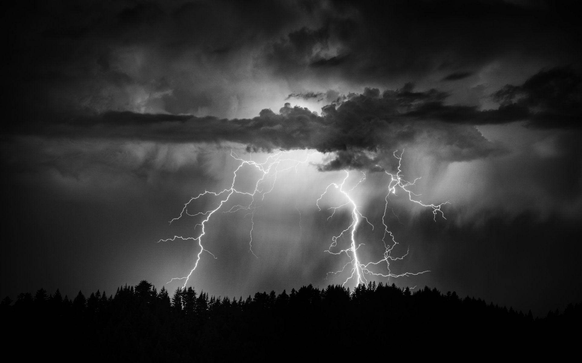Aesthetic Lightning 桌布 壁紙 — 一場戲劇性的黑白閃電風暴照亮了剪影森林地平線上的烏雲。