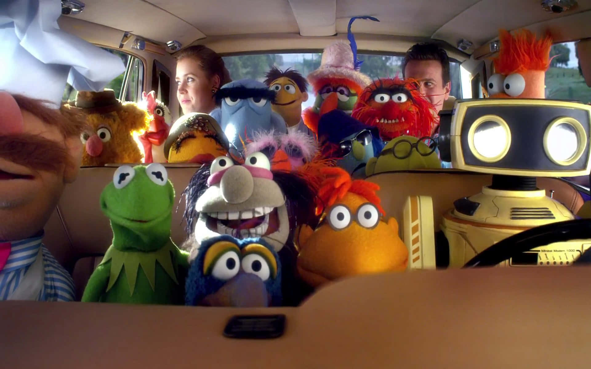 Animal Muppet 桌布 壁紙 — 一場混亂的乘車之旅，充滿了色彩繽紛的Muppet角色和兩個看起來很好笑的人類。