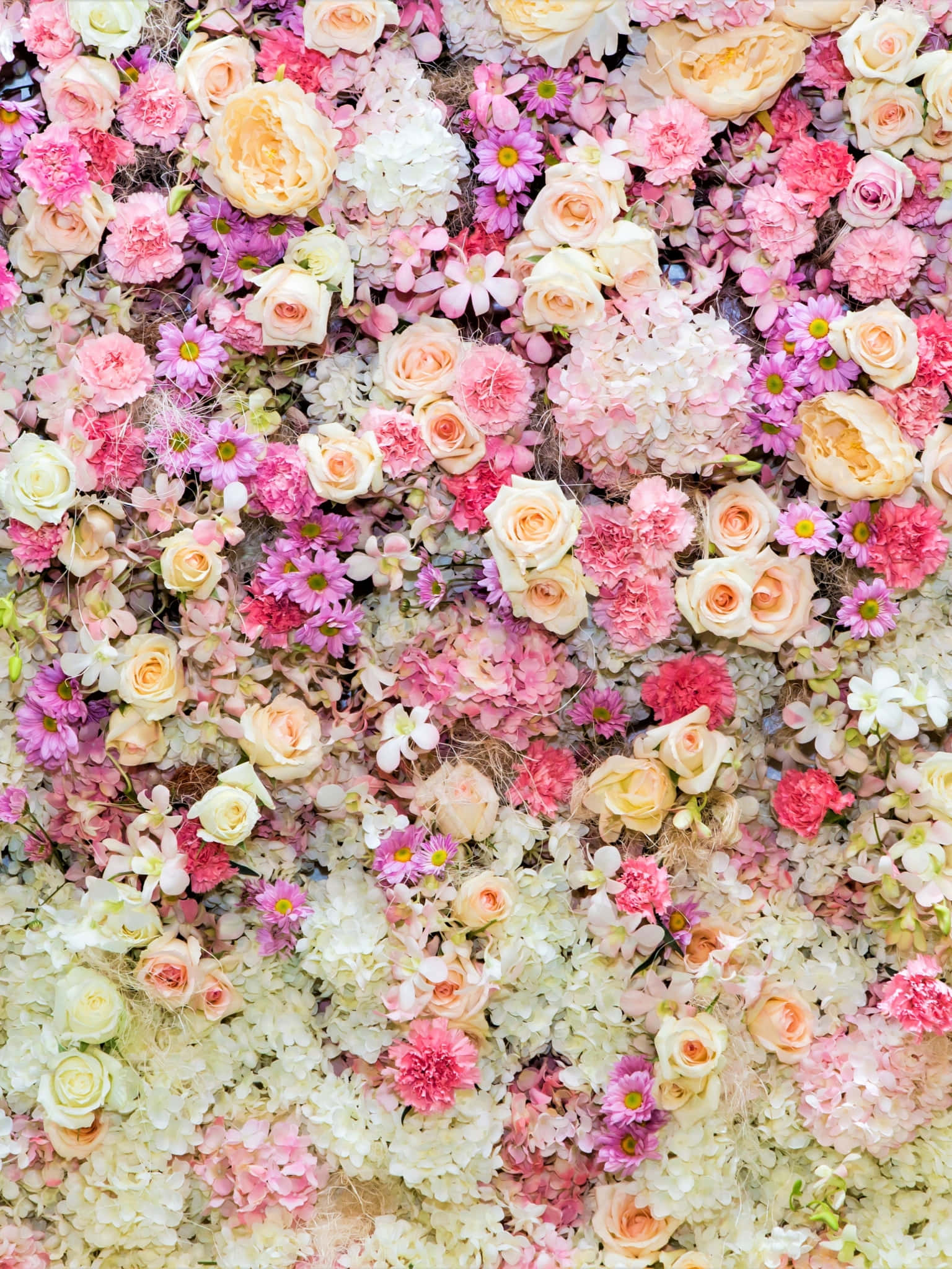 Anime Flower 桌布 壁紙 — 一堵密集的牆，由粉紅、蜜桃和白色的柔和色調花朵組成，包括玫瑰、繡球花和雛菊，在柔和自然光下。