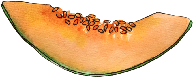 Cantaloupe 桌布 壁紙 — 一塊哈密瓜的水彩切片，帶有橙色果肉、綠色外皮和黑色種子，置於黑色背景上。