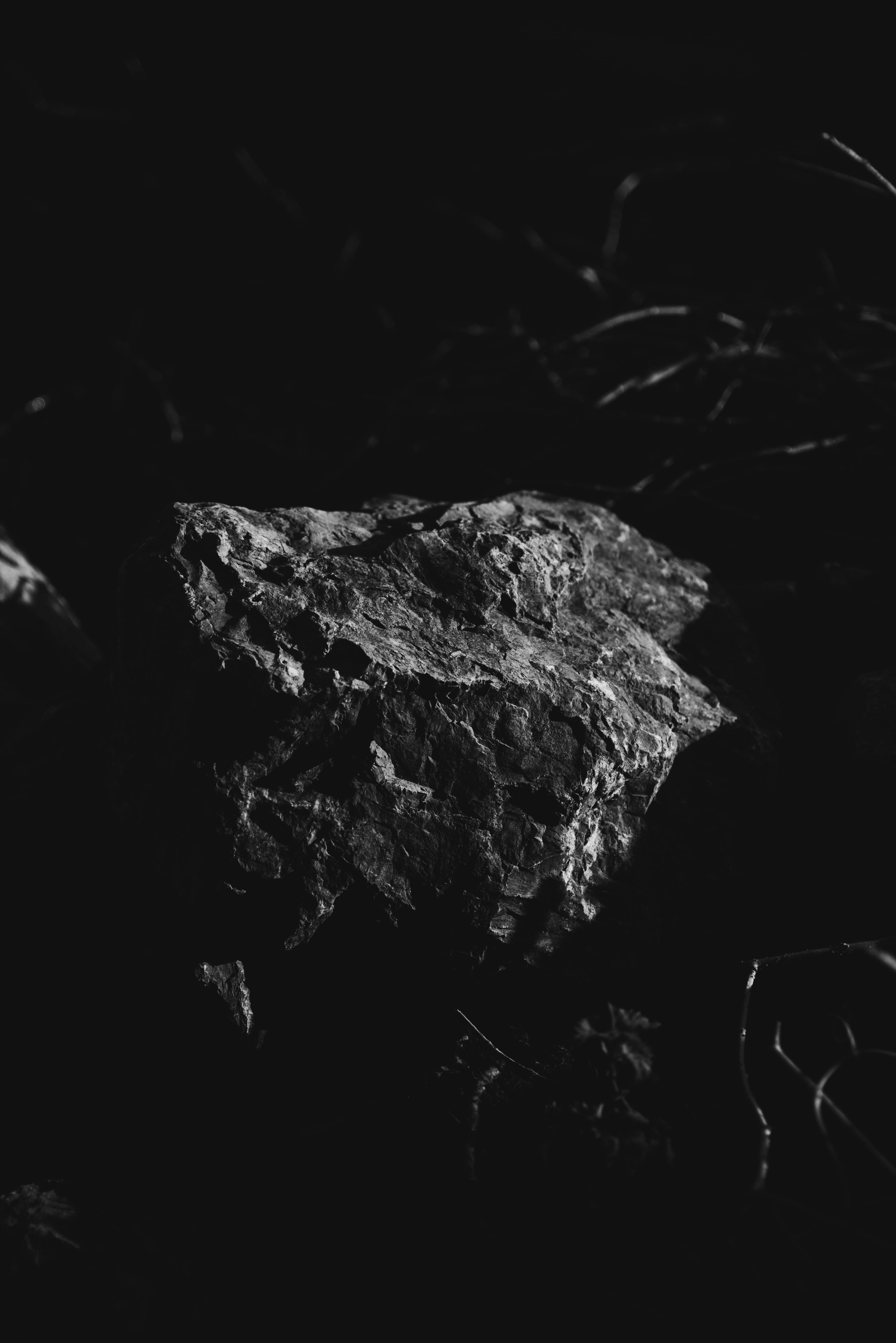 Stone 桌布 壁紙 — 一塊堅固的岩石在近乎黑暗中被照亮，細小的樹枝框住其紋理表面。