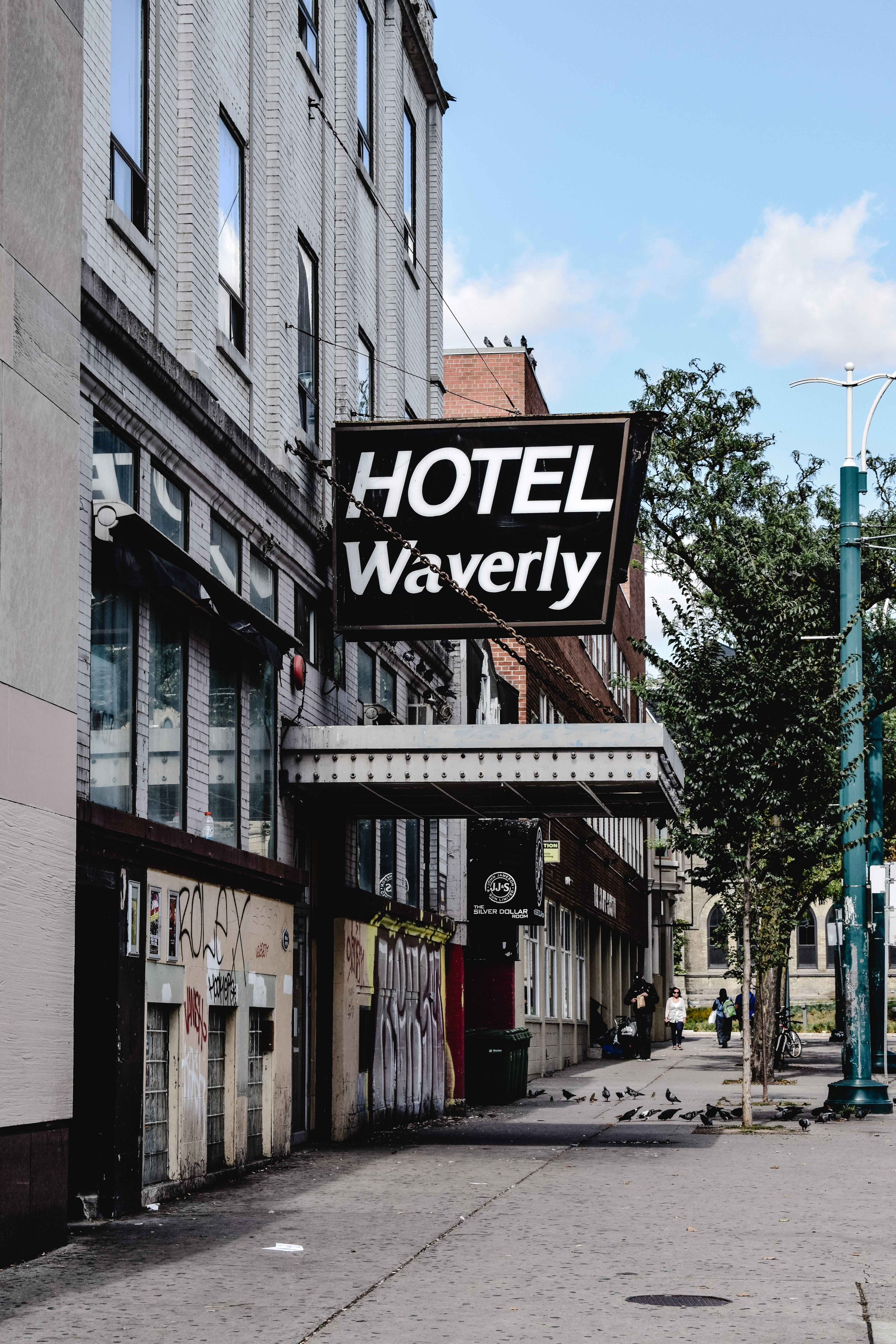 Hotel 桌布 壁紙 — 一塊寫有「HOTEL Waverly」的復古飯店招牌懸掛在陽光普照的城市小巷上方，小巷地面有鴿子，牆壁佈滿塗鴉。