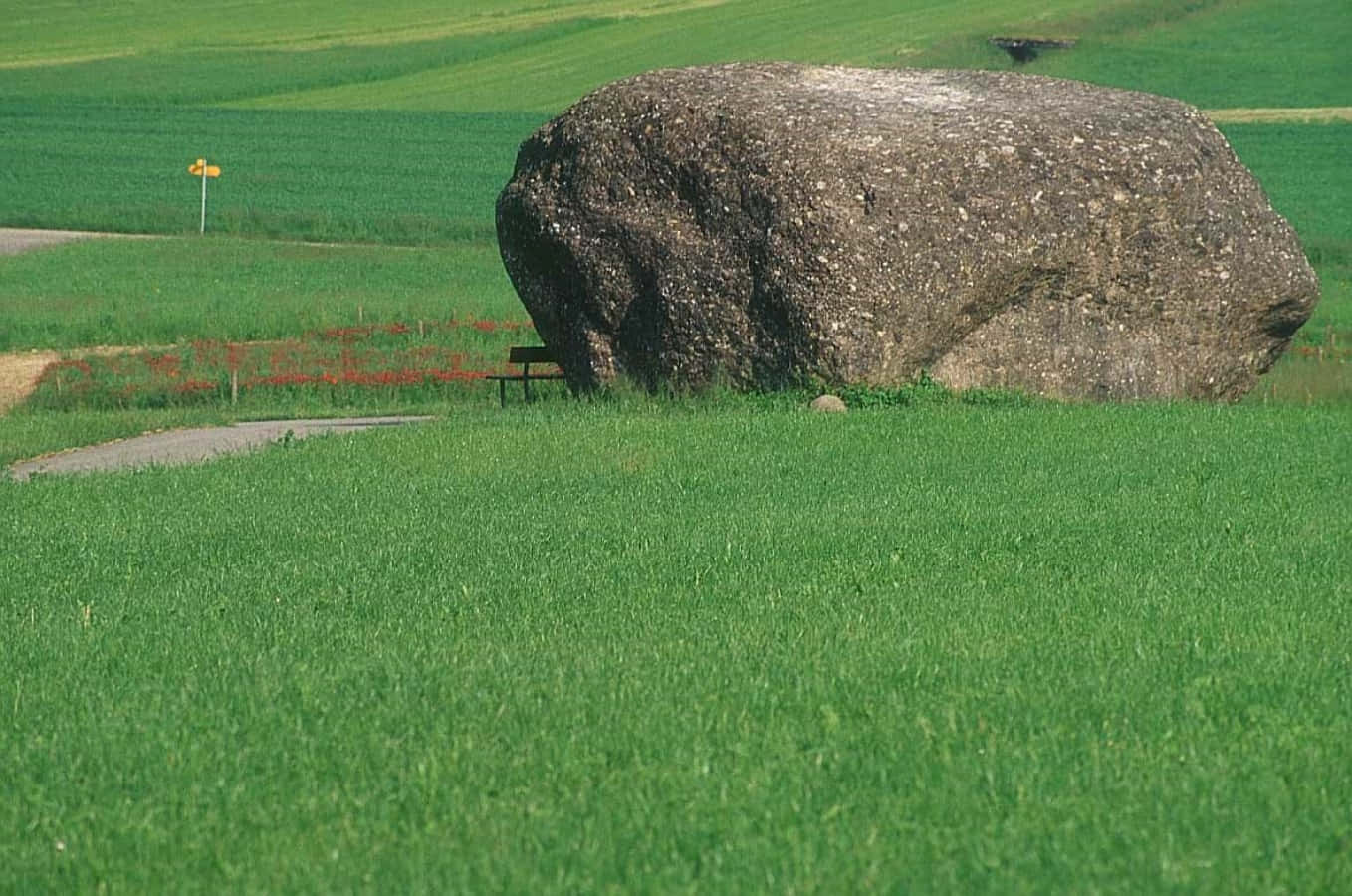 Stone 桌布 壁紙 — 一塊巨大的岩石坐落在一片充滿活力的綠色田野中，附近有一張長凳，蜿蜒的小路旁盛開著紅色罌粟花。